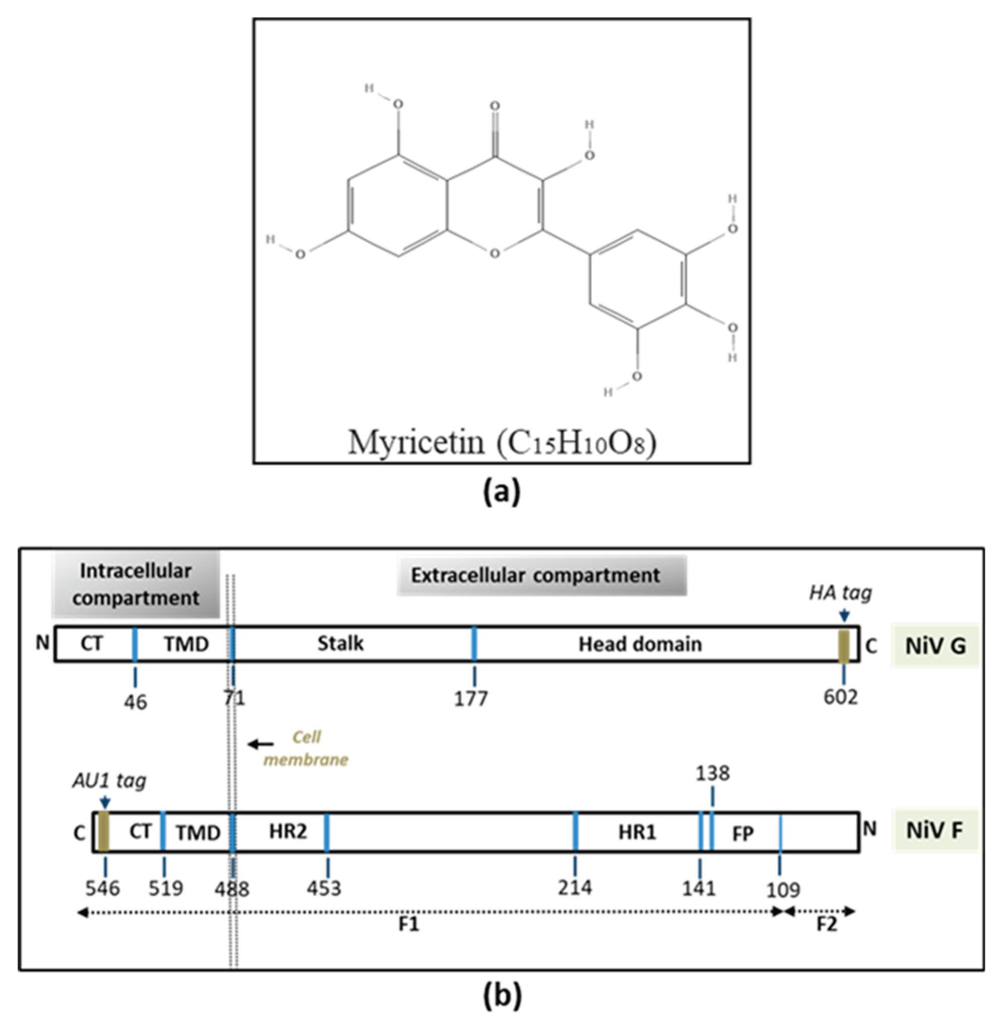 Preprints 161453 g001