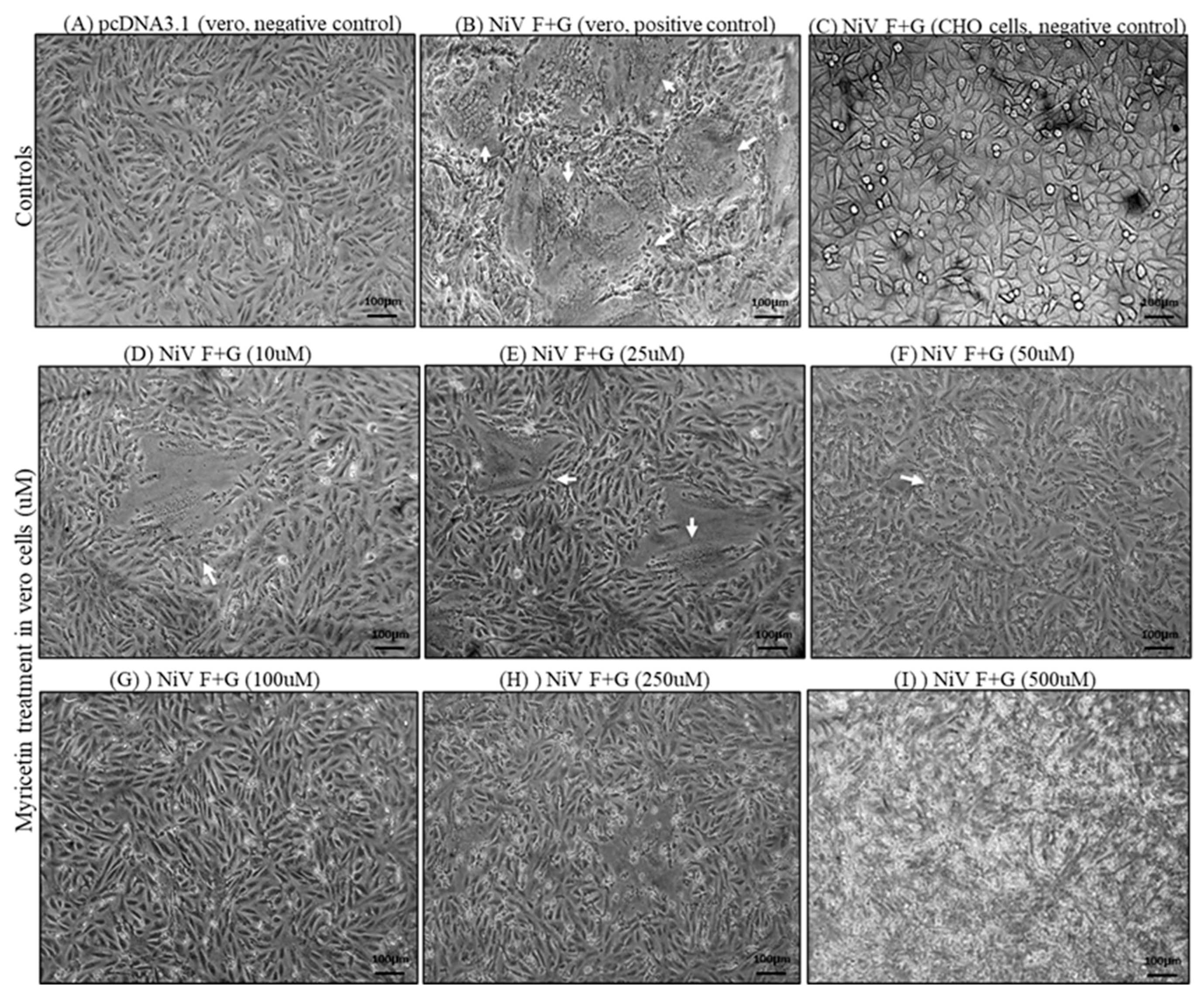 Preprints 161453 g003