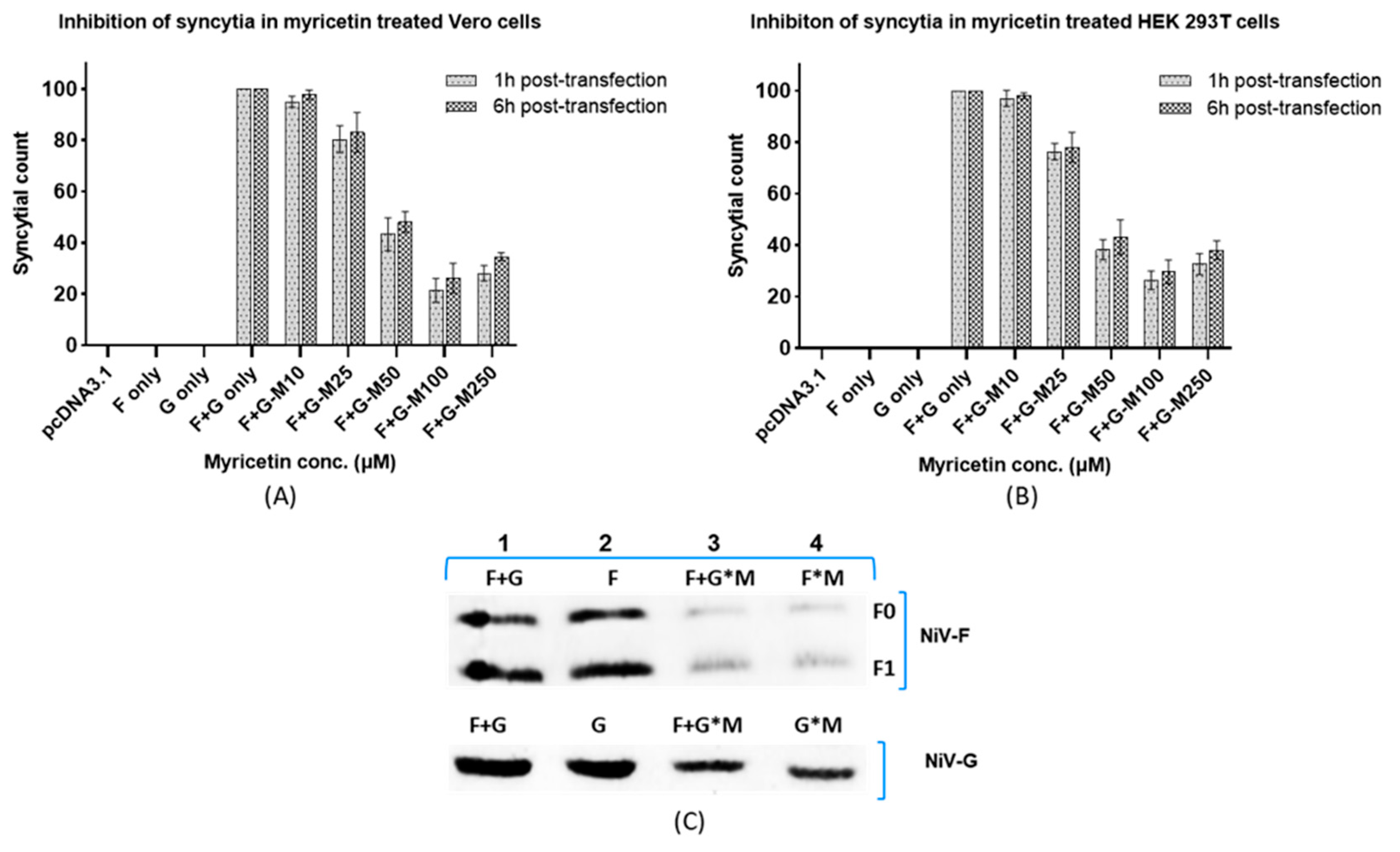 Preprints 161453 g005