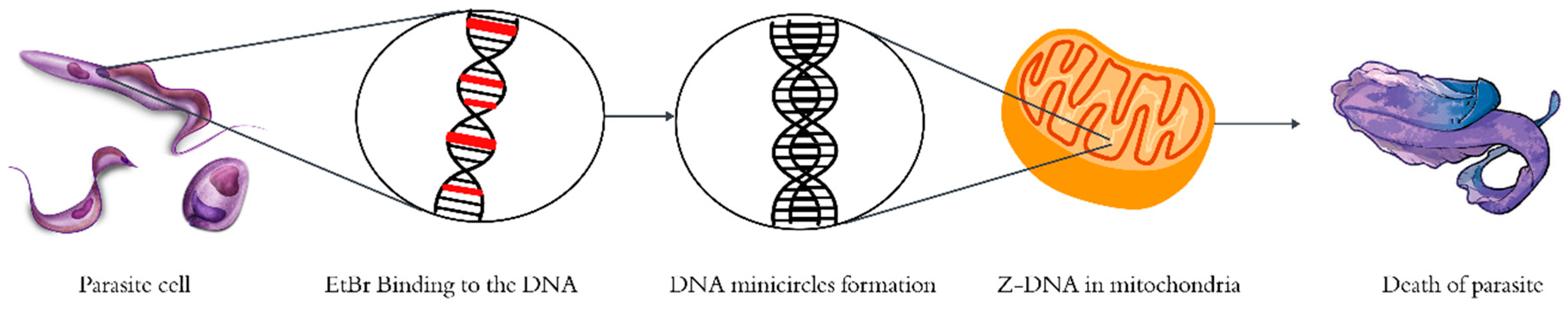 Preprints 157709 g003