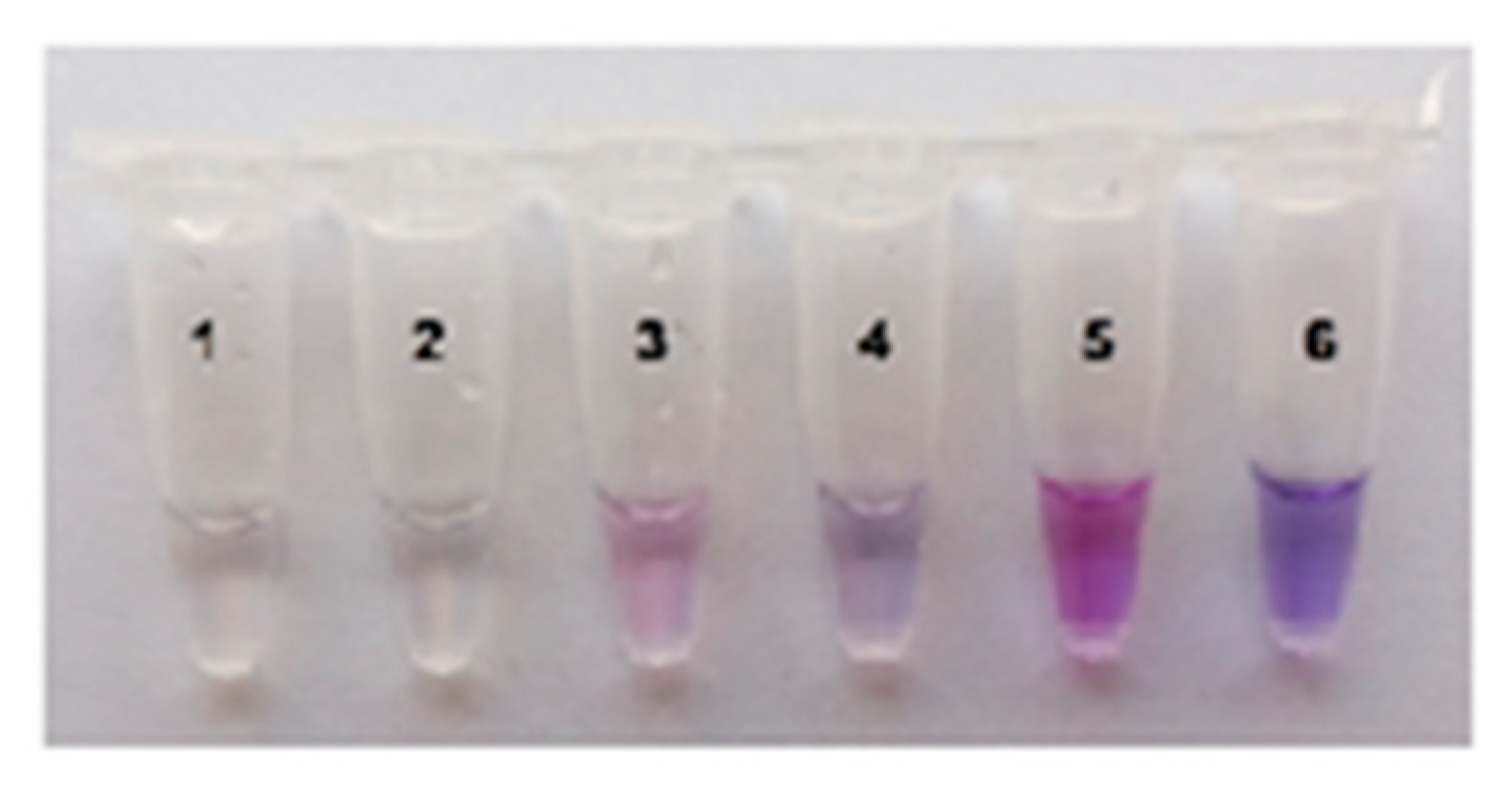 Preprints 169046 g005