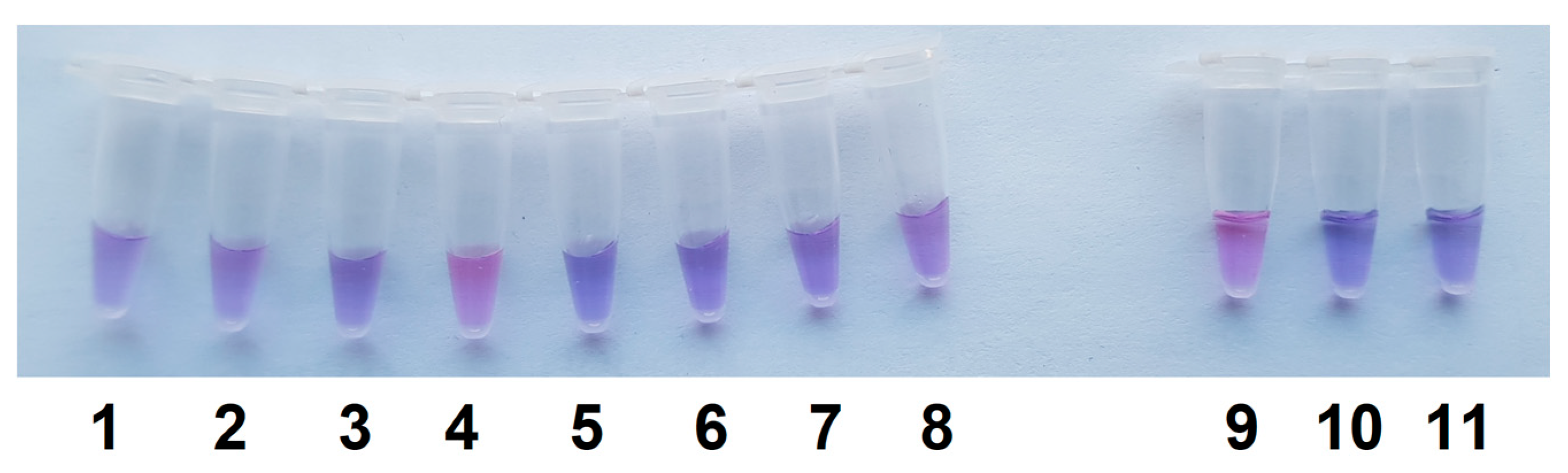 Preprints 169046 g007
