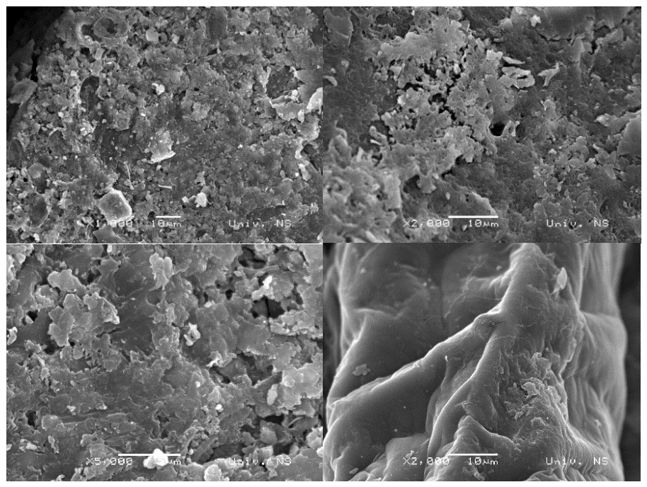 Preprints 217680 g001