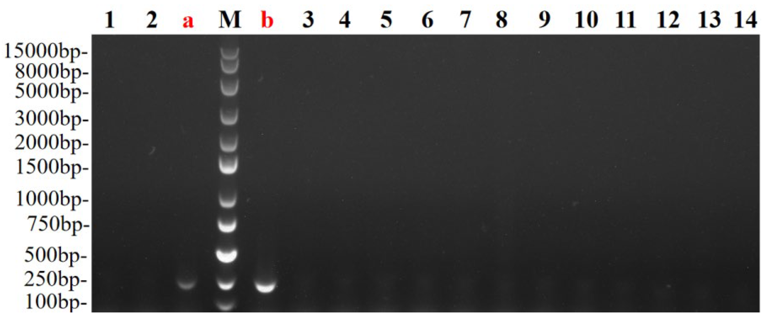 Preprints 168398 g004
