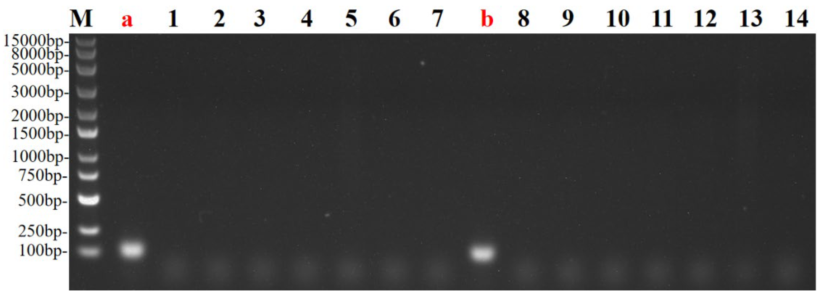 Preprints 168398 g006