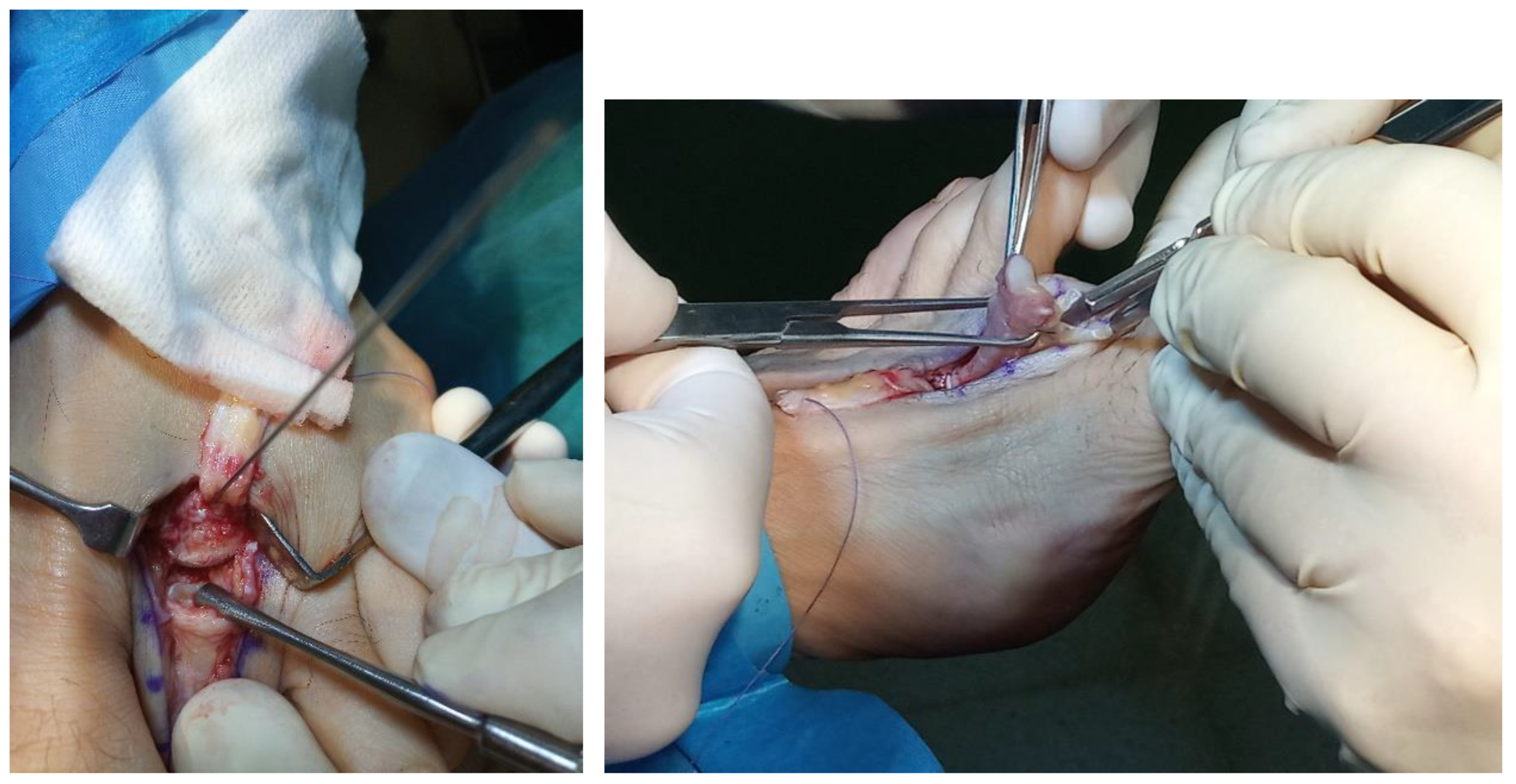 Preprints 119215 g002a