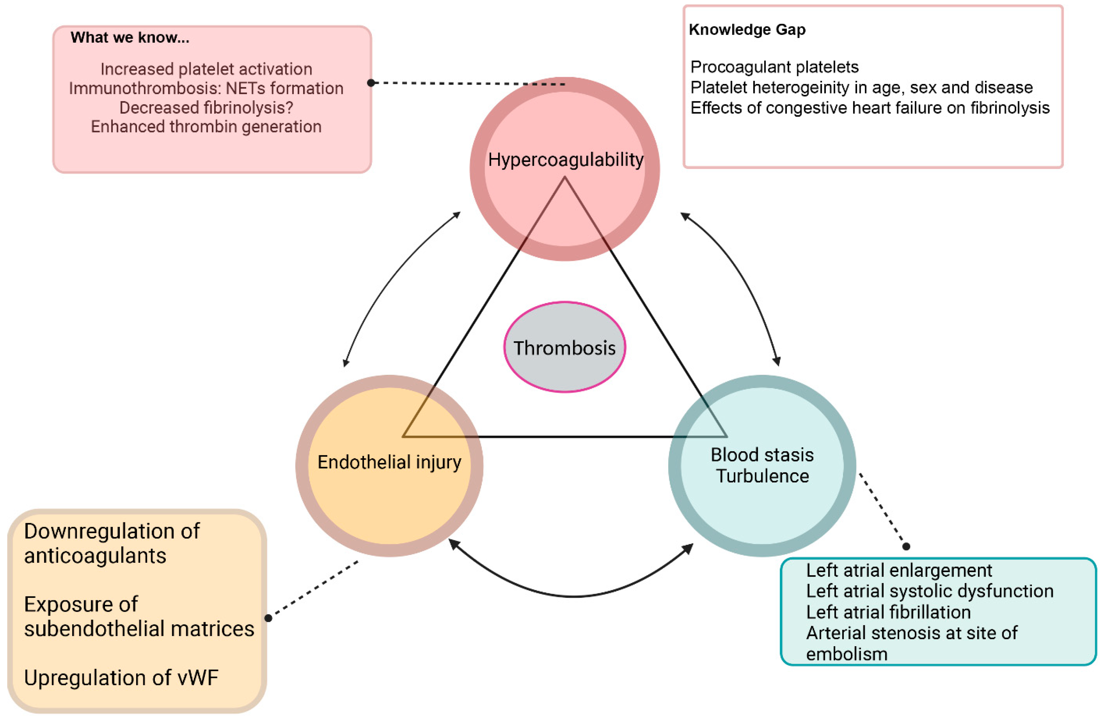 Preprints 161342 g002