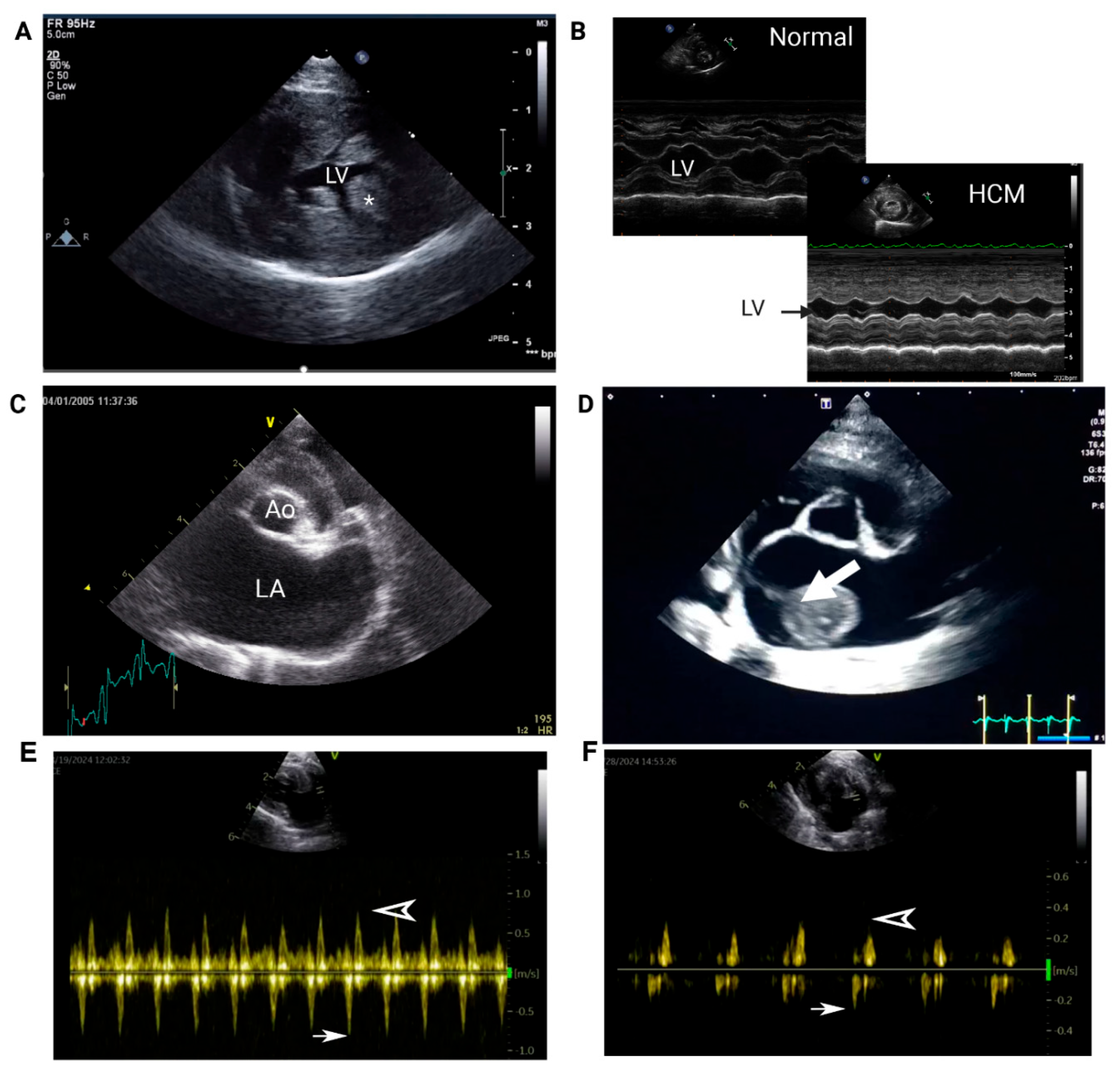 Preprints 161342 g003