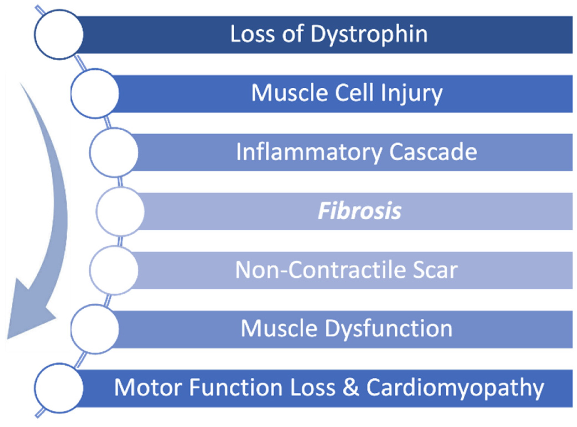 Preprints 179769 g001