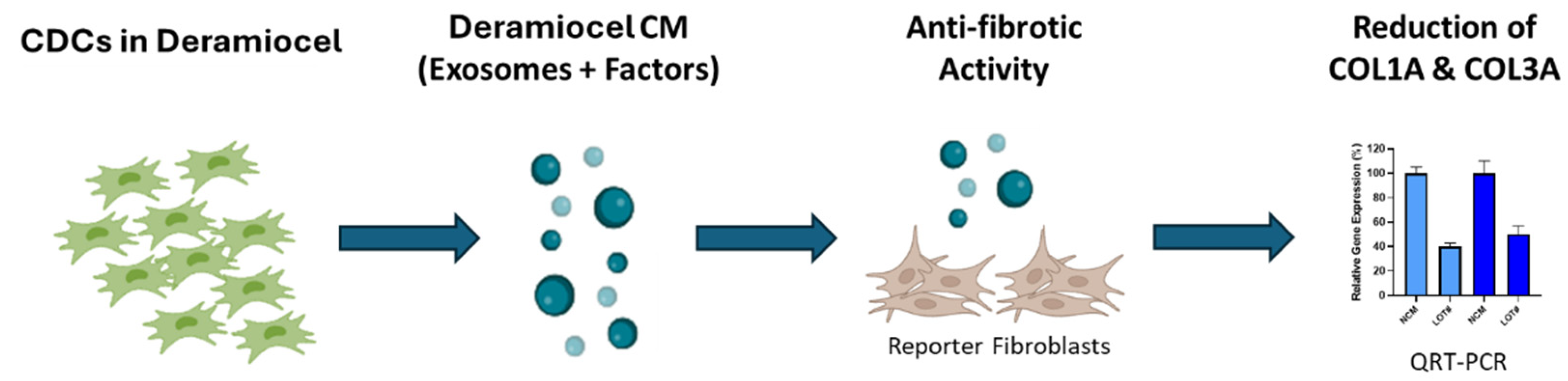 Preprints 179769 g002