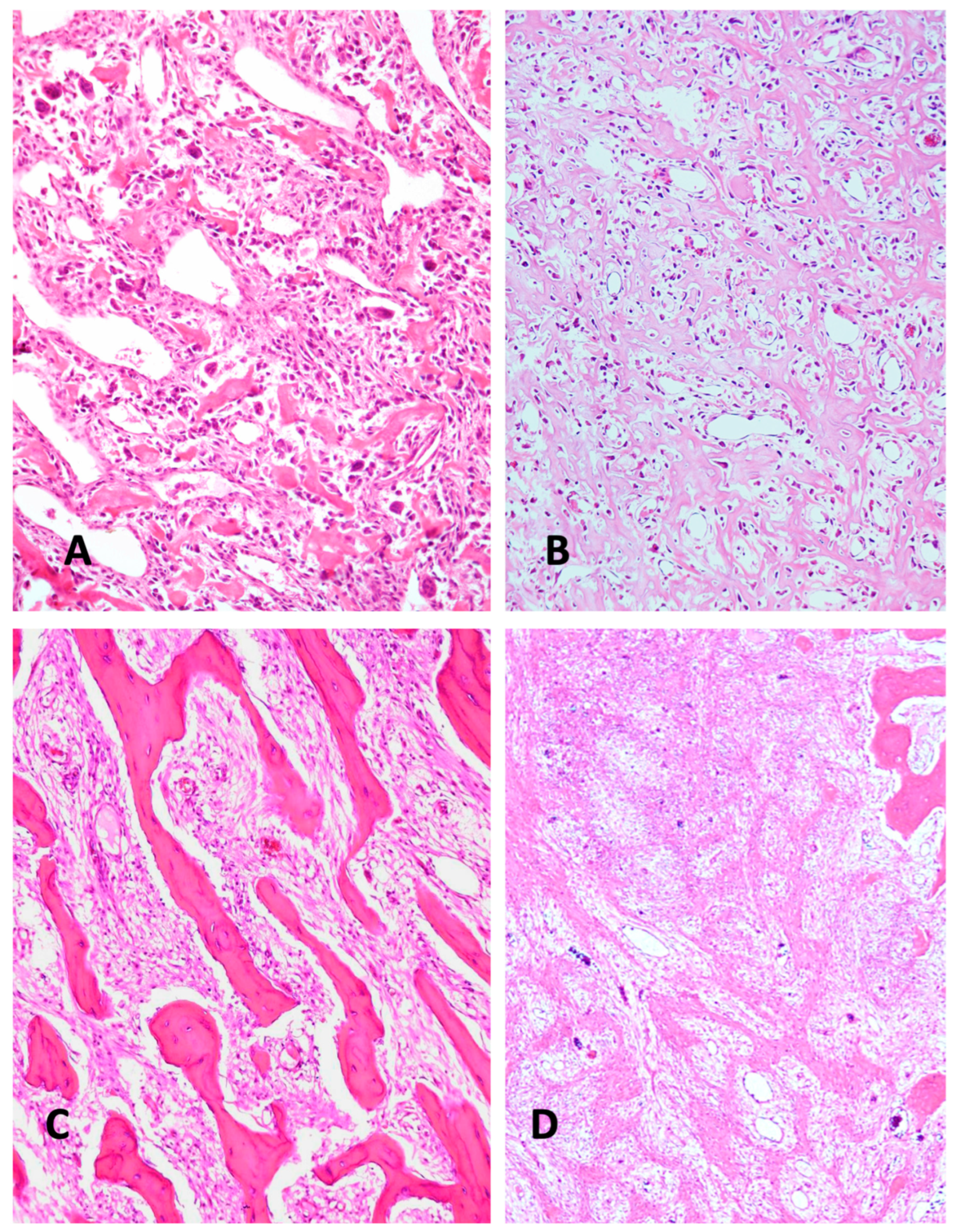 Preprints 158021 g002