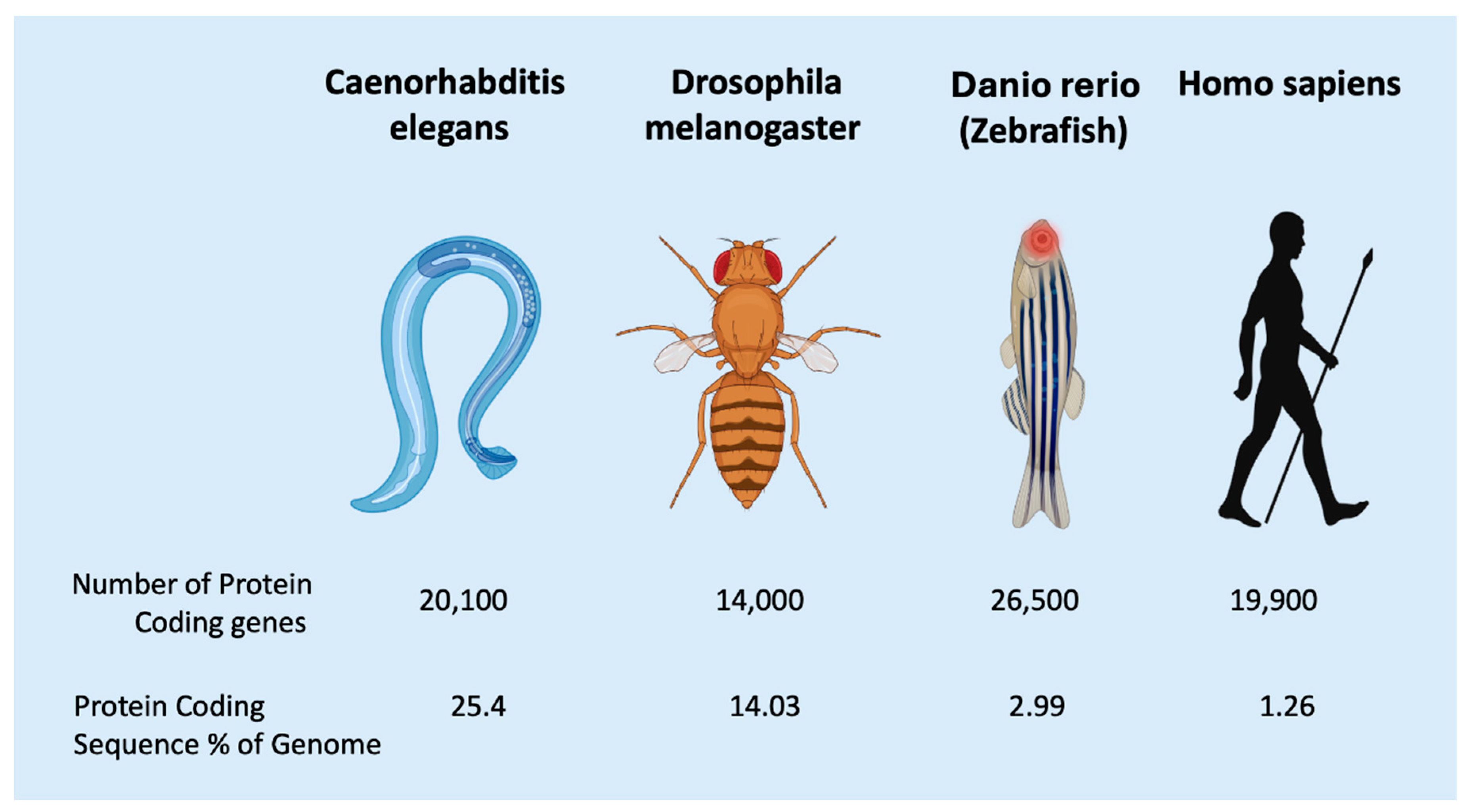 Preprints 158021 g003