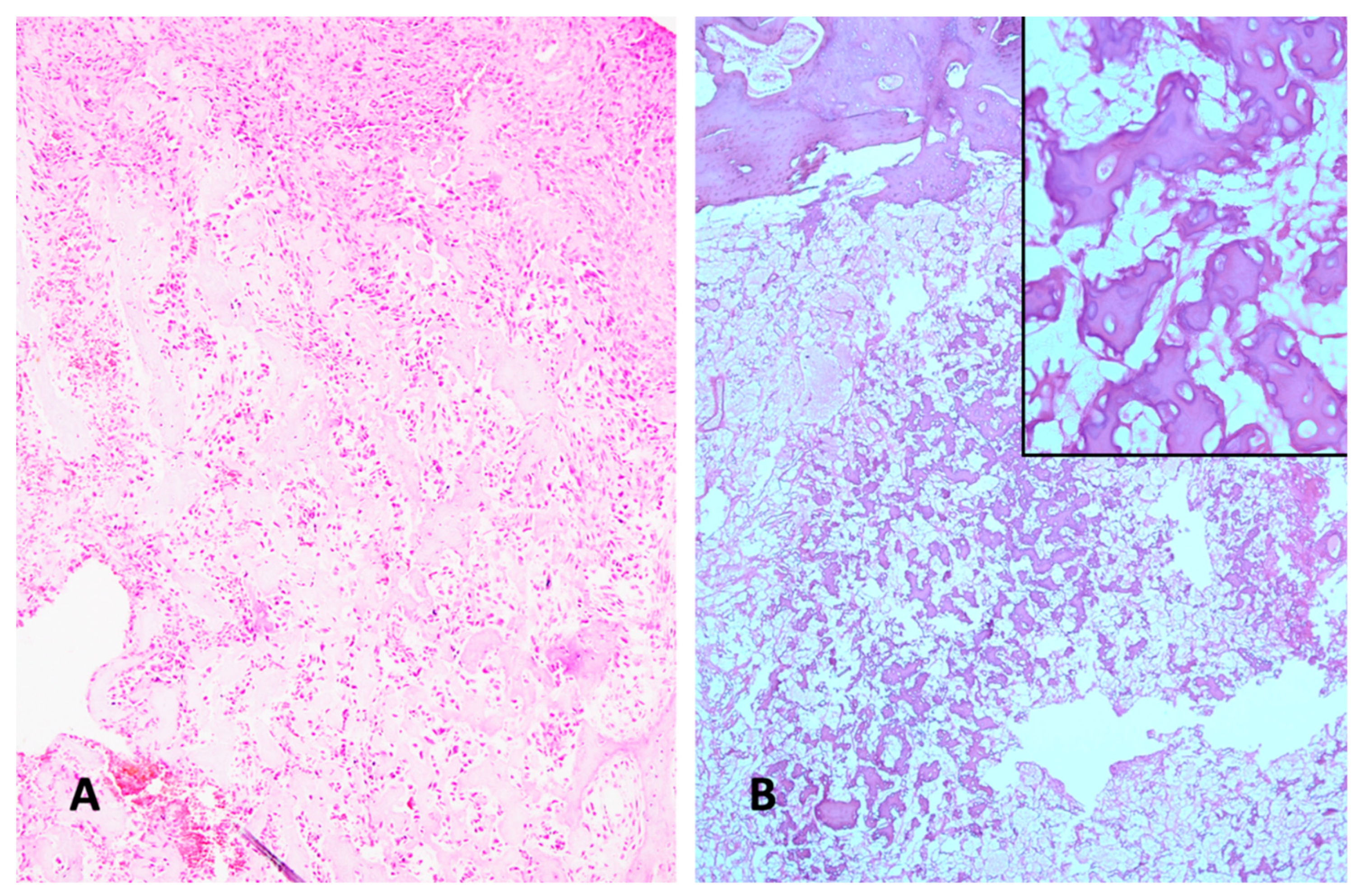 Preprints 158021 g004