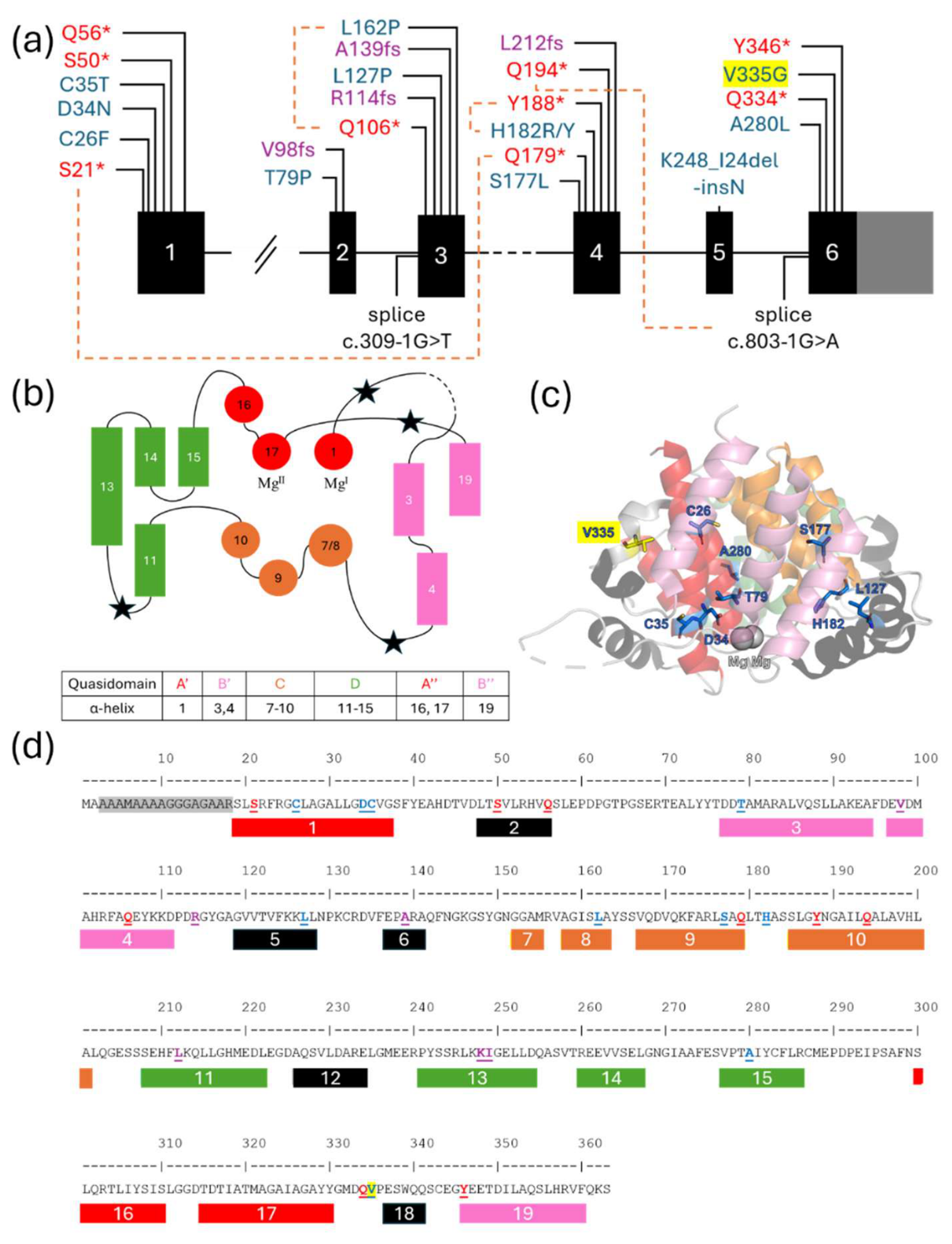 Preprints 228589 g002