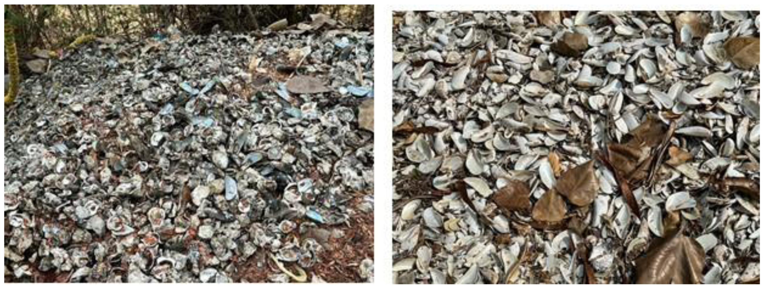 Preprints 168700 g001