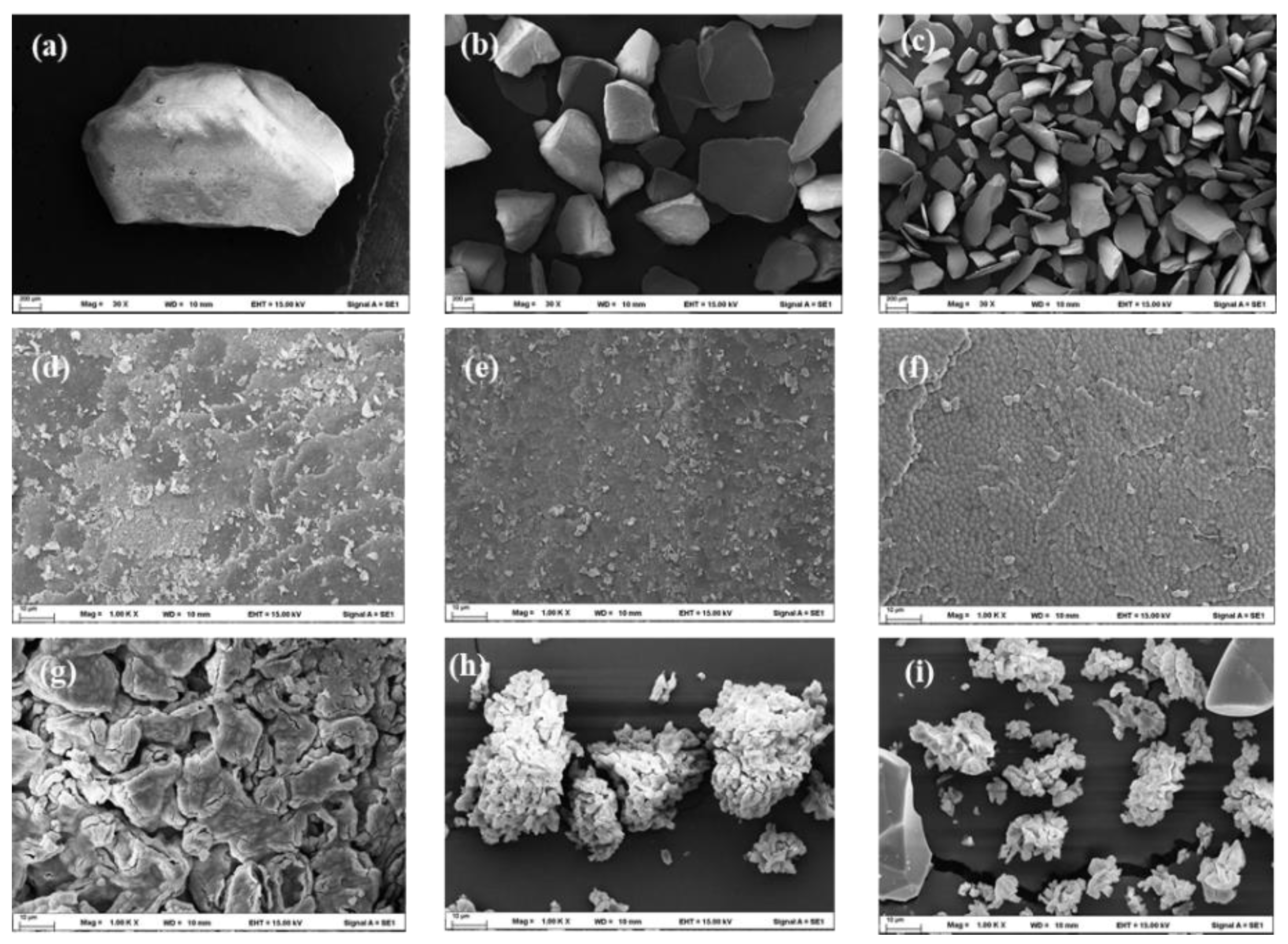 Preprints 168700 g005