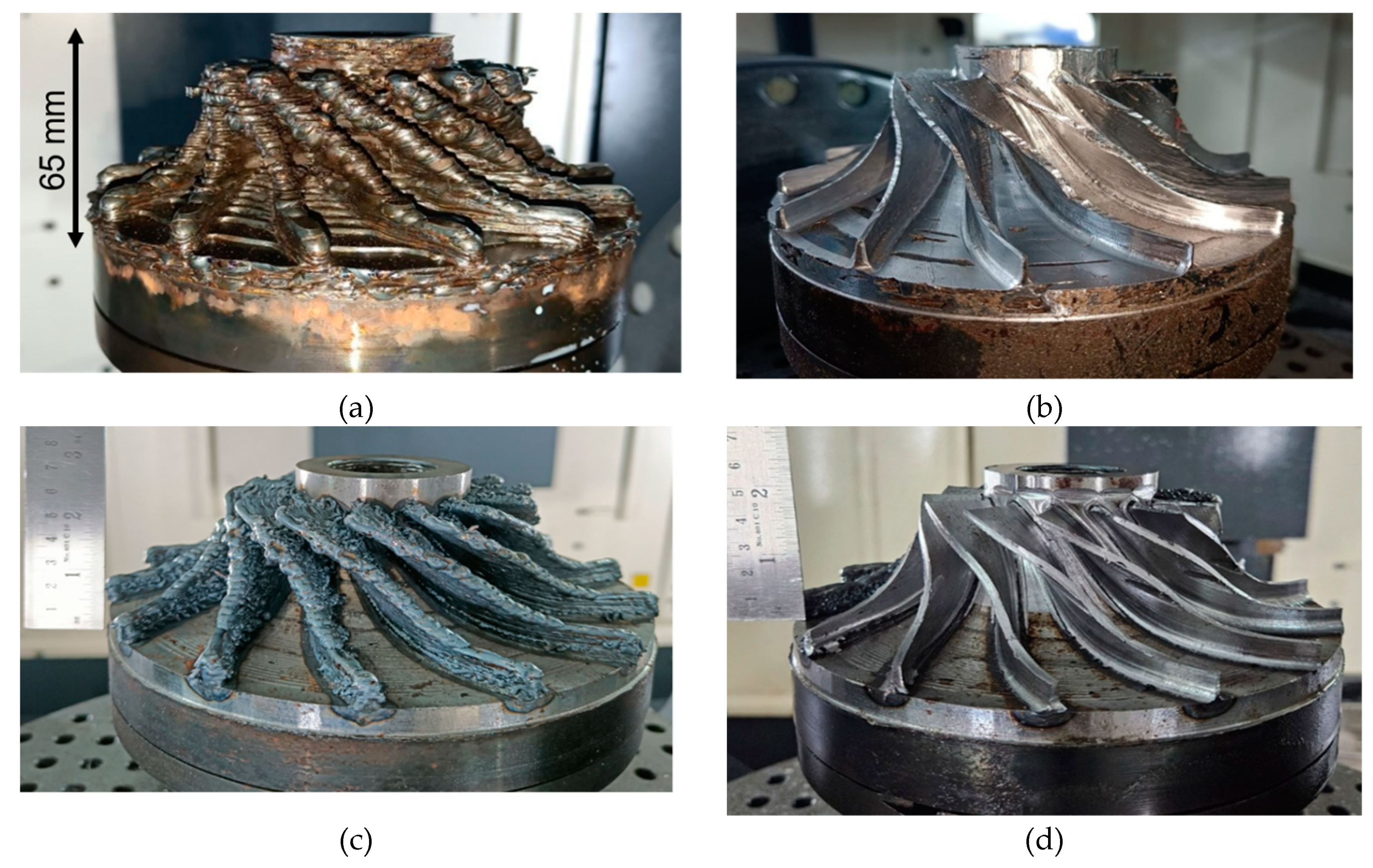 Preprints 144054 g008
