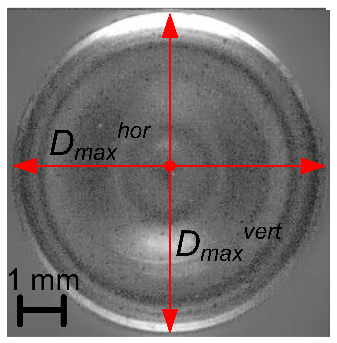 Preprints 77639 g003
