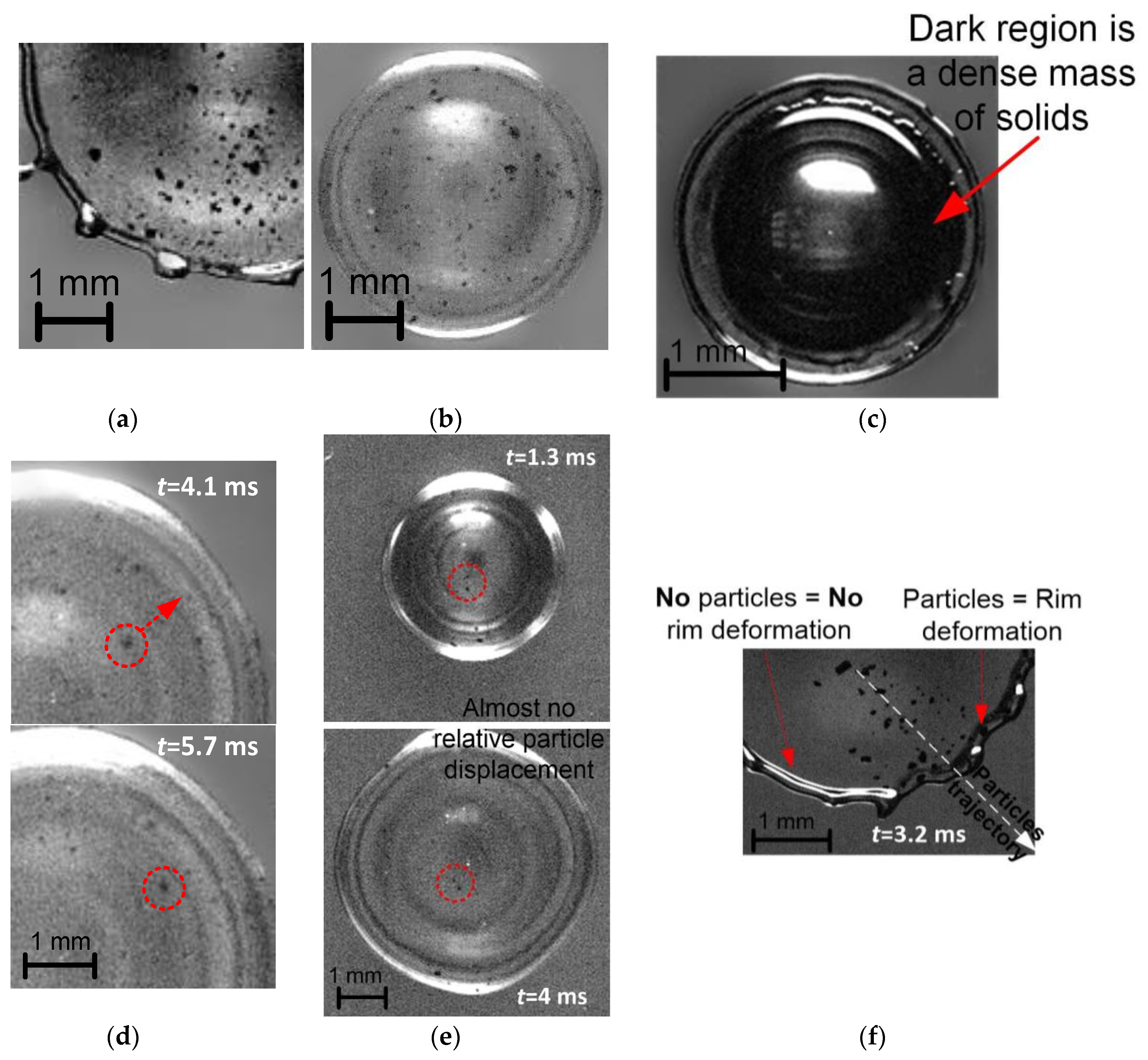 Preprints 77639 g006