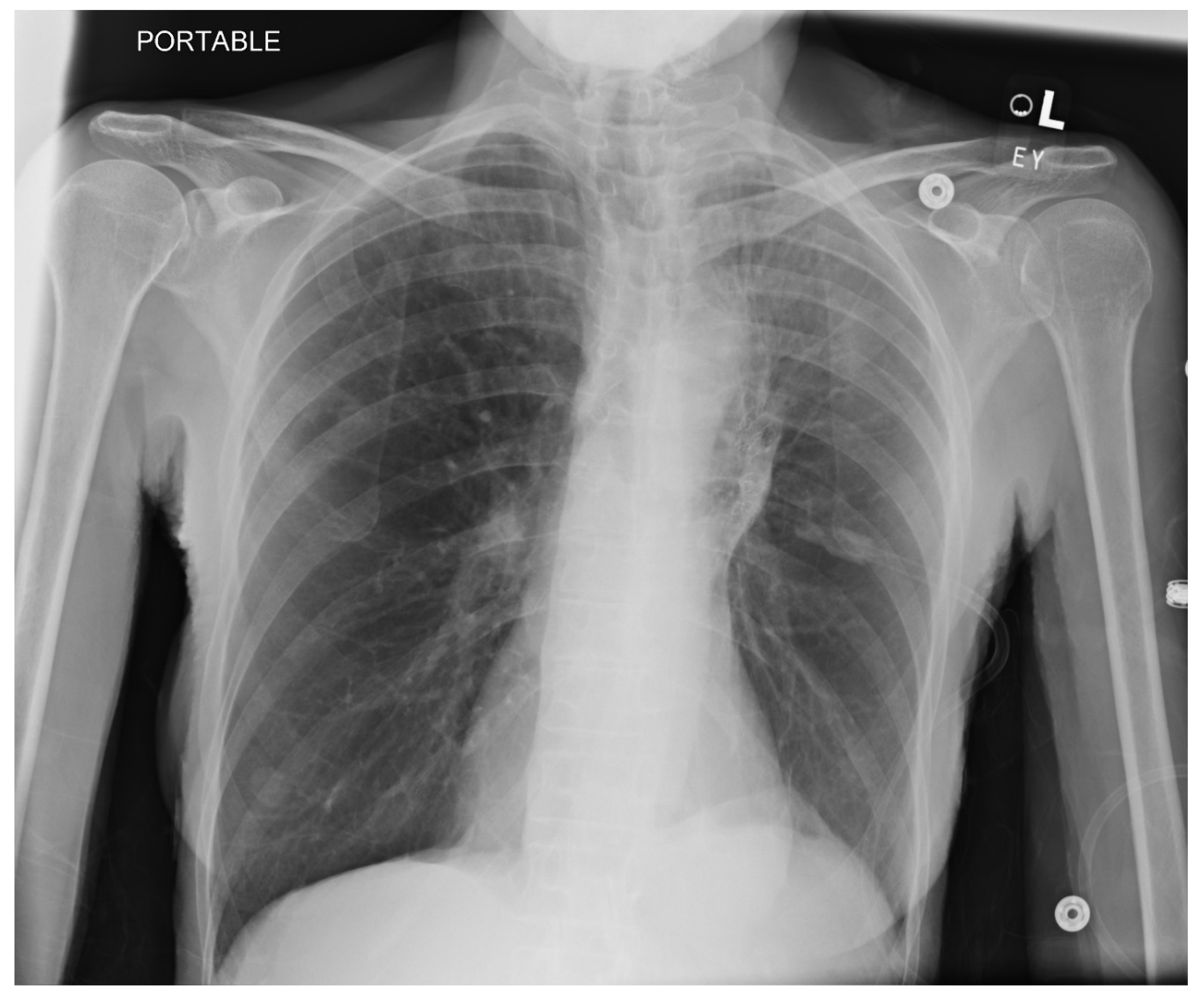 Preprints 118782 g001