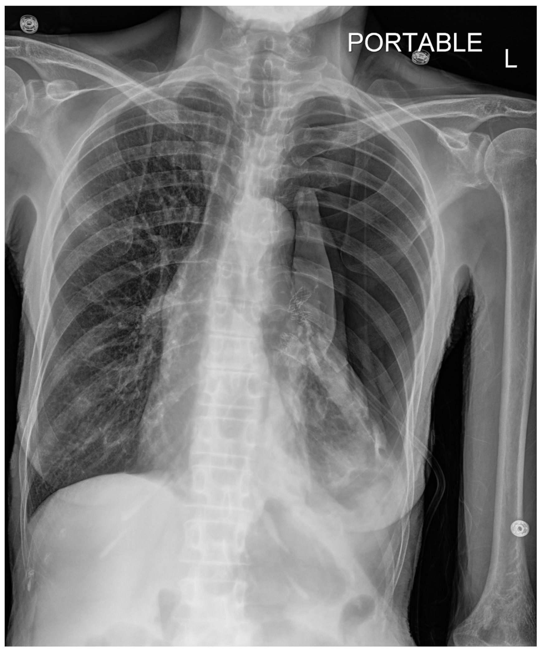 Preprints 118782 g002