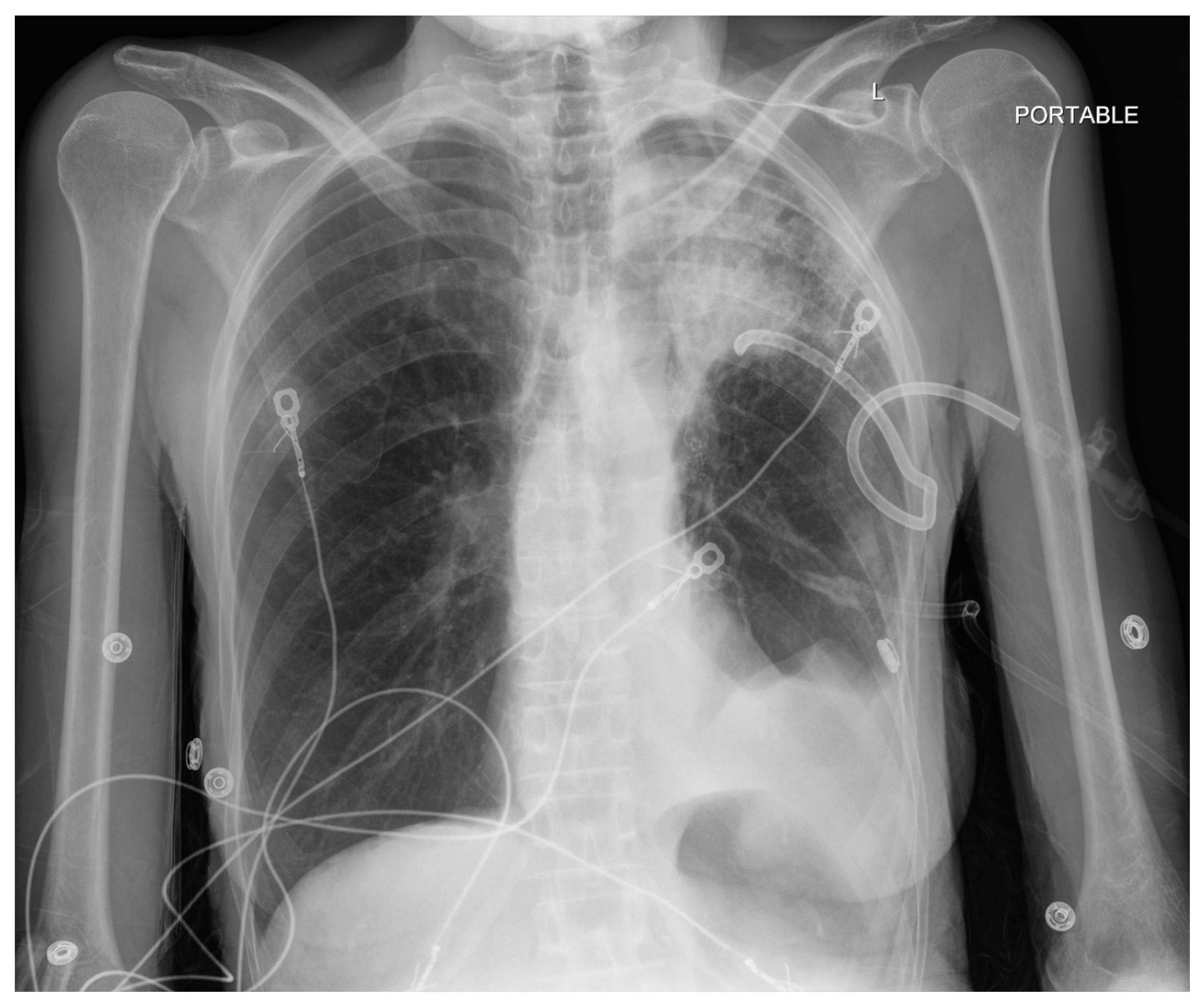 Preprints 118782 g003