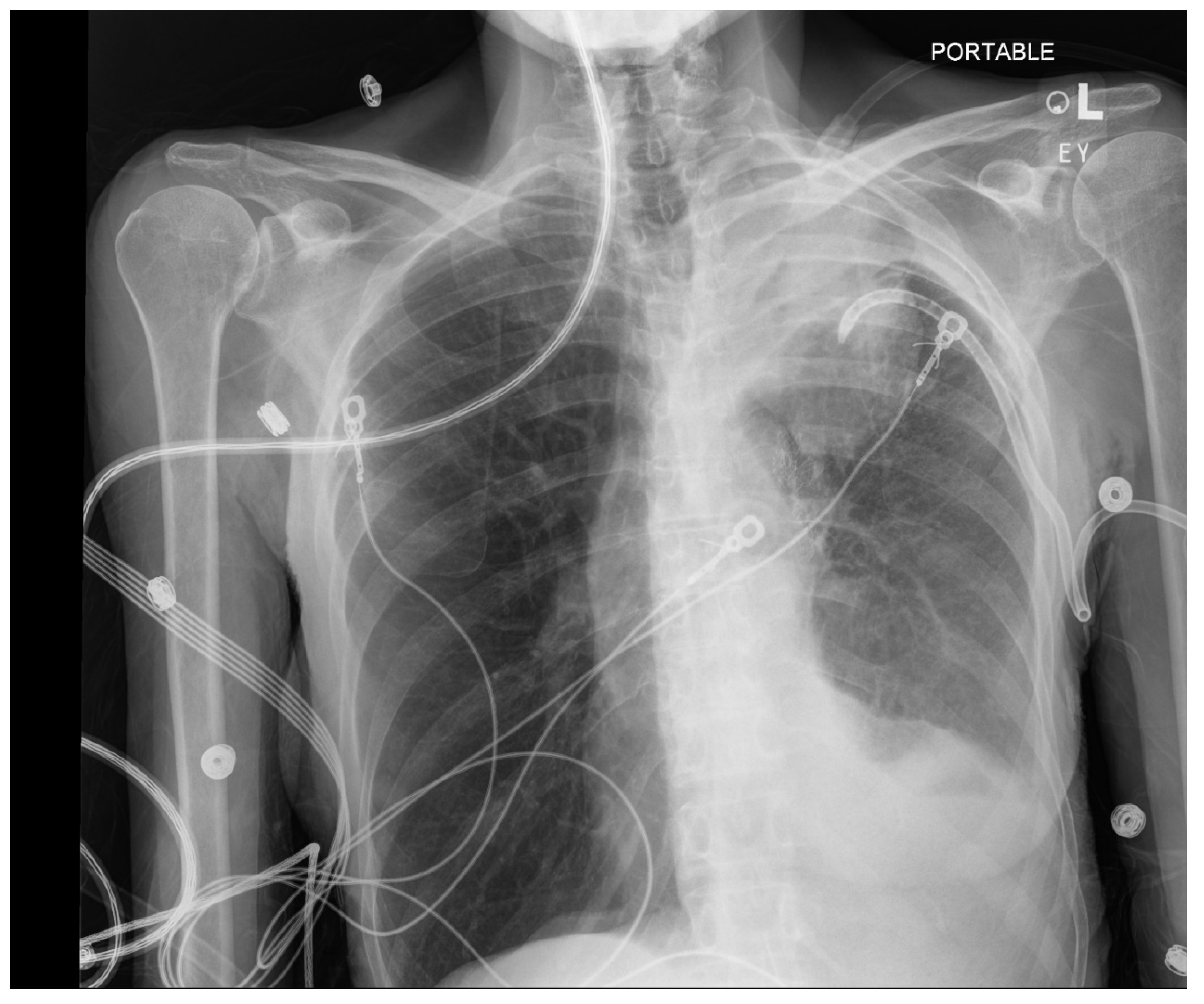 Preprints 118782 g004