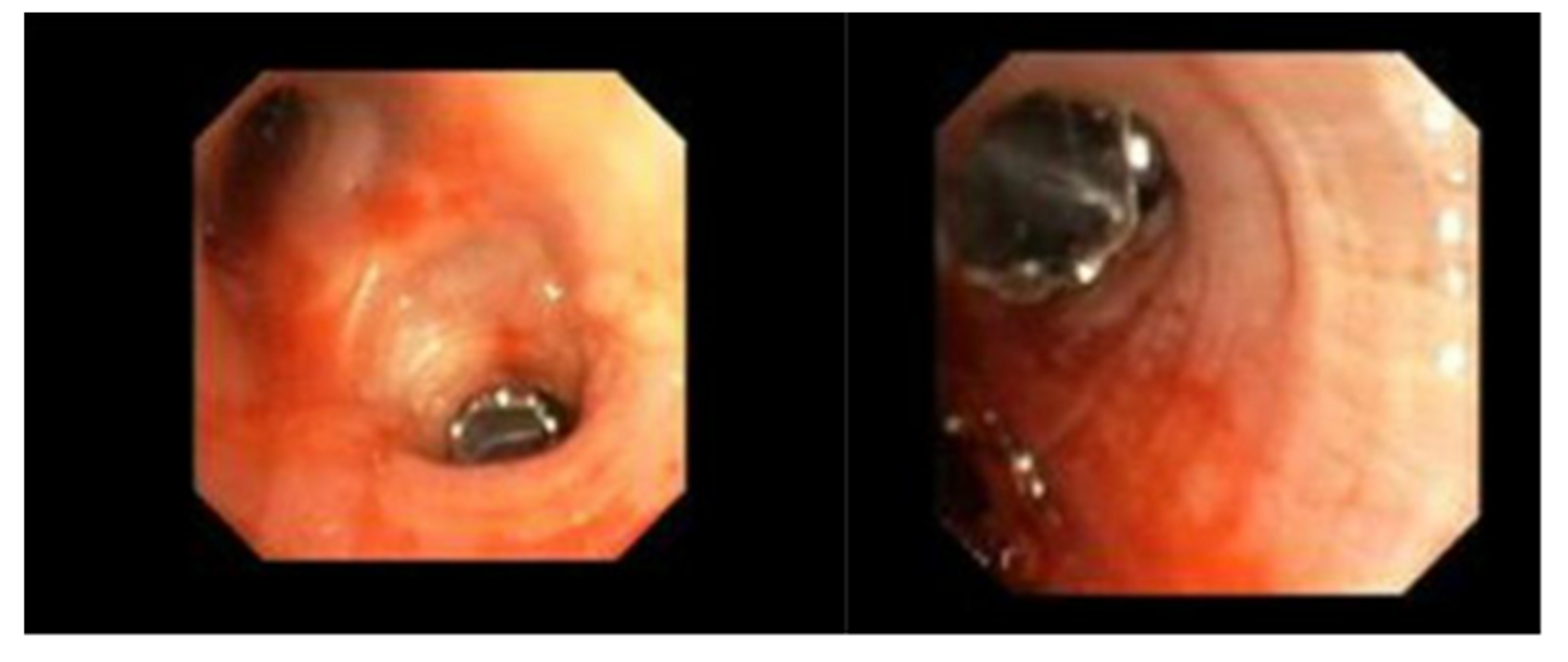 Preprints 118782 g005