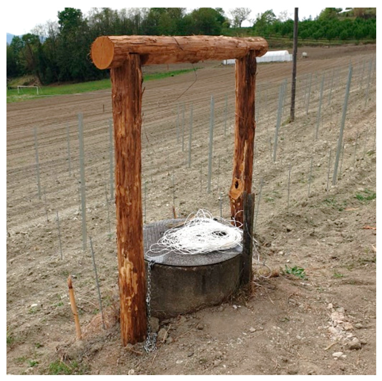 Preprints 157411 g001