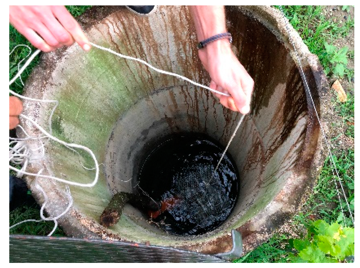 Preprints 157411 g002