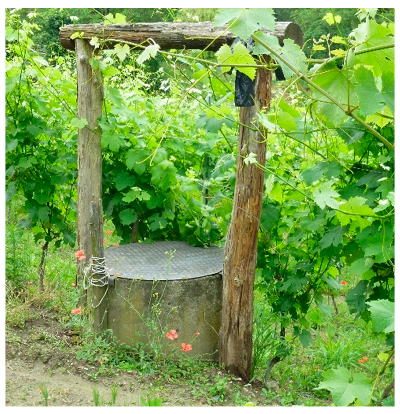 Preprints 157411 g003