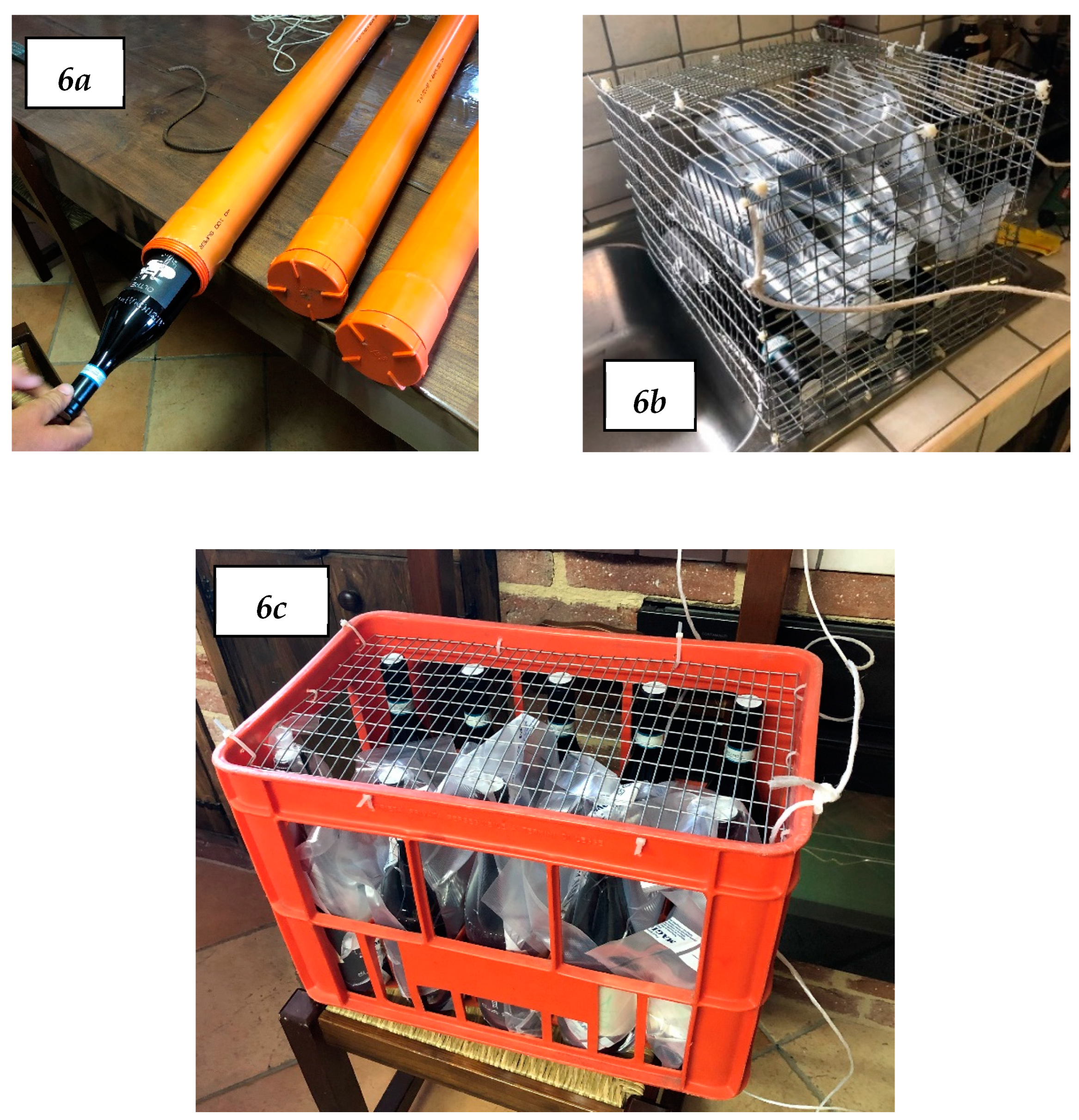 Preprints 157411 g006