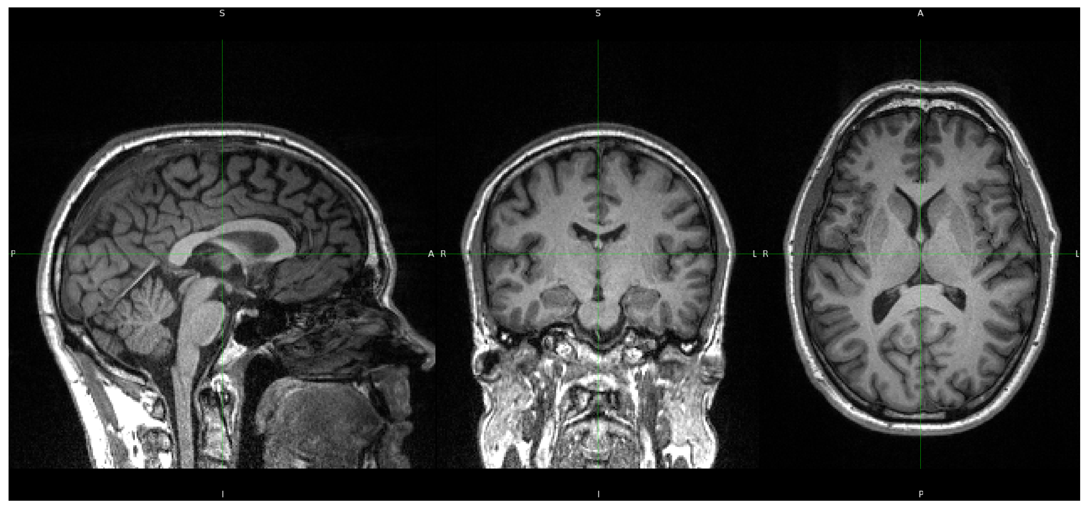 Preprints 144036 g001