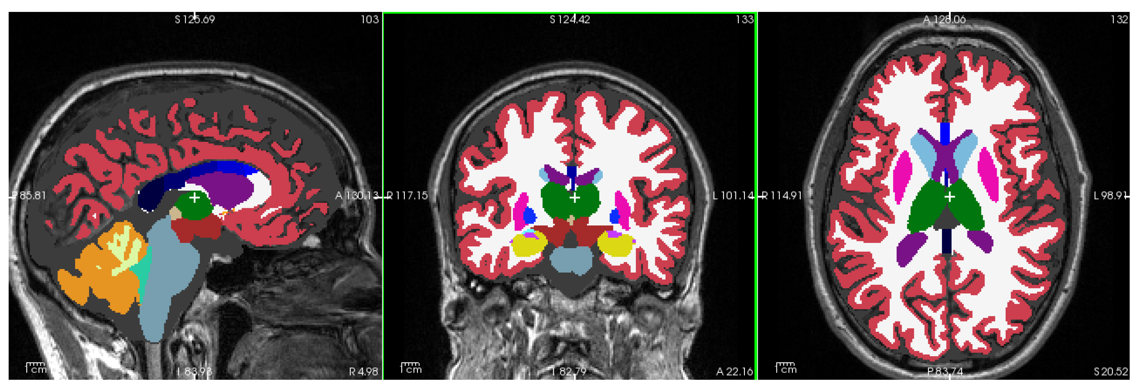 Preprints 144036 g002