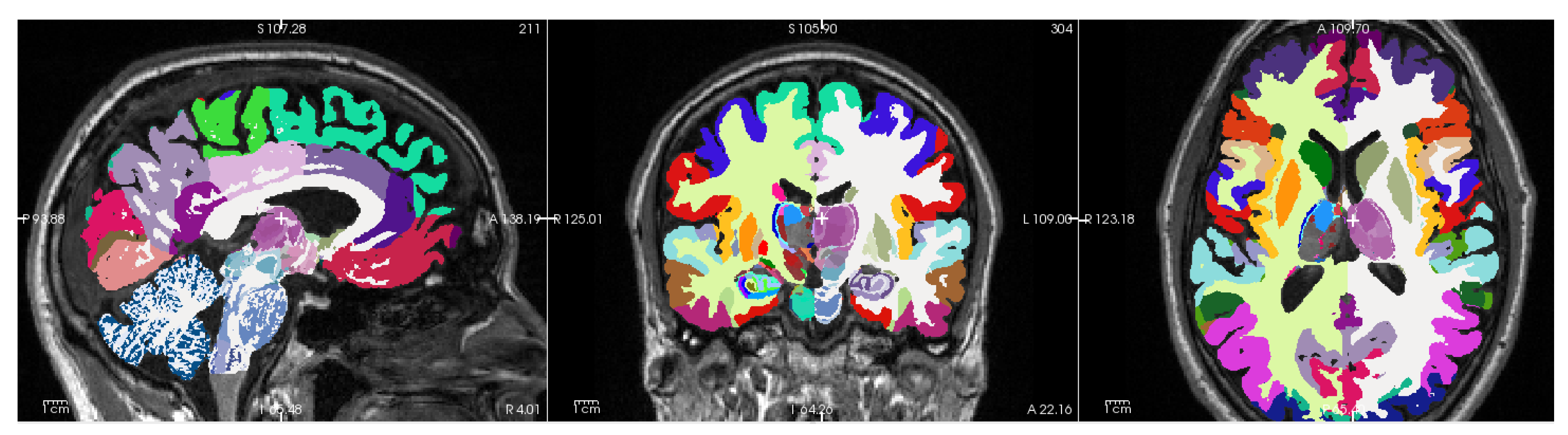 Preprints 144036 g0a2