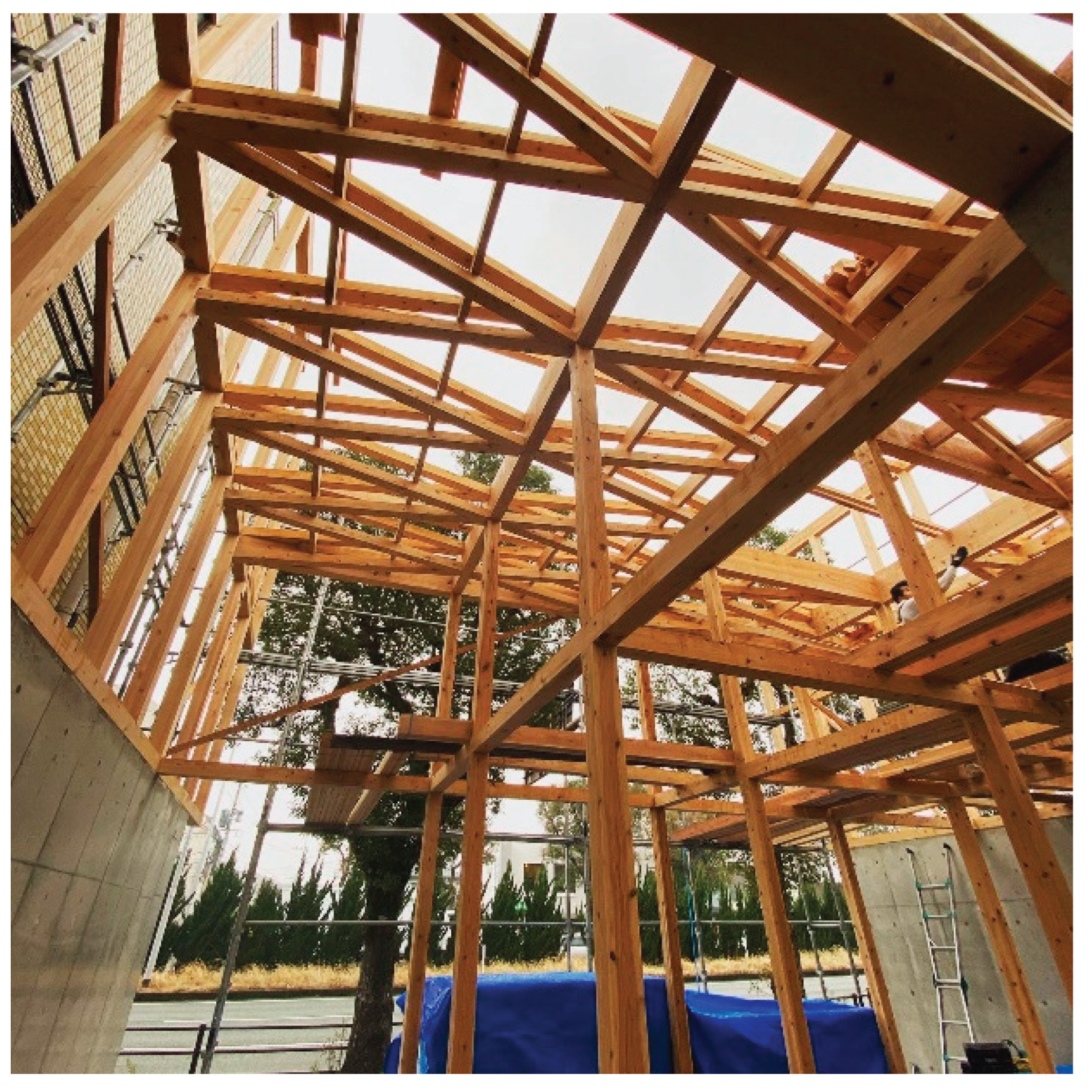 Preprints 169982 g006