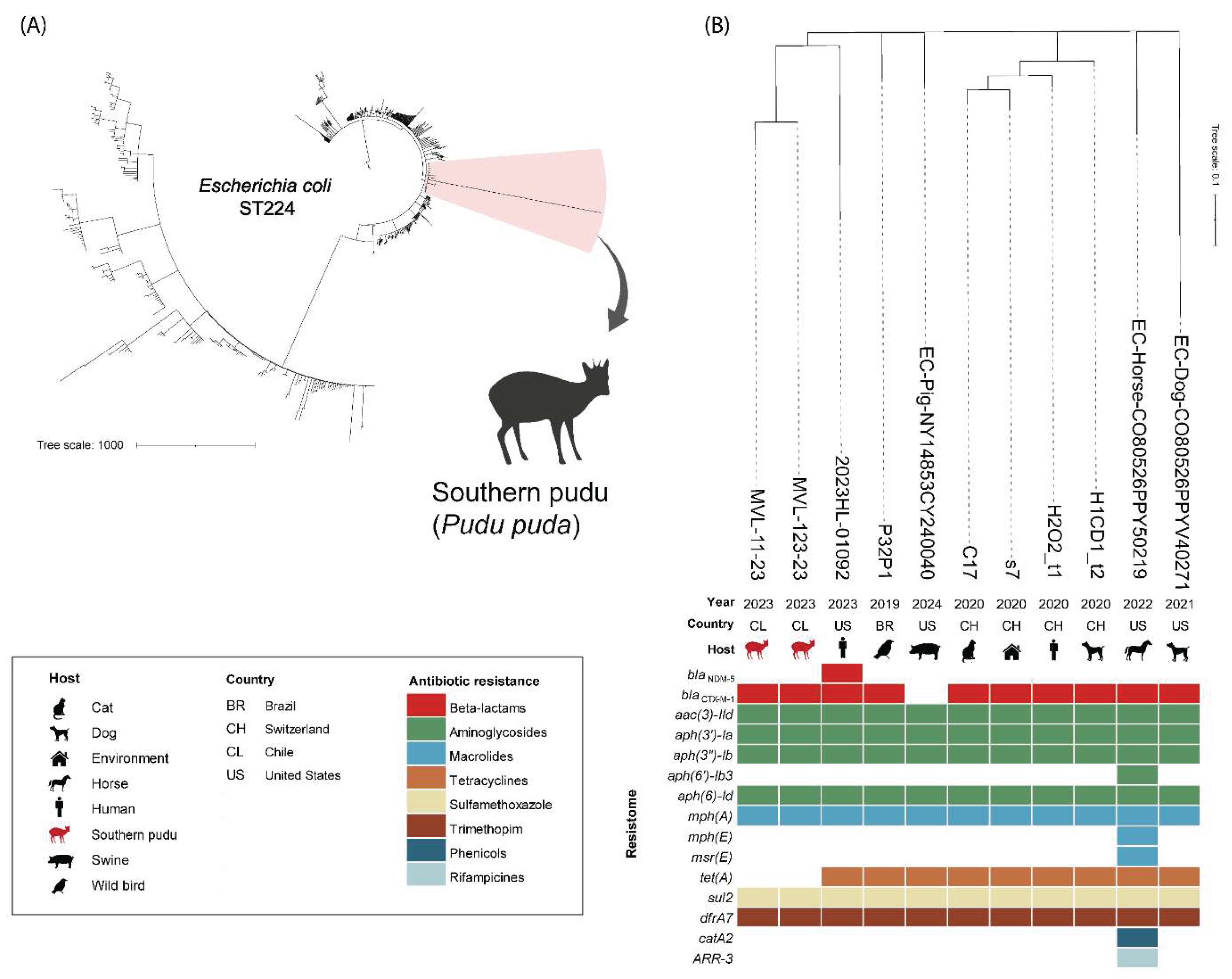 Preprints 167930 g001