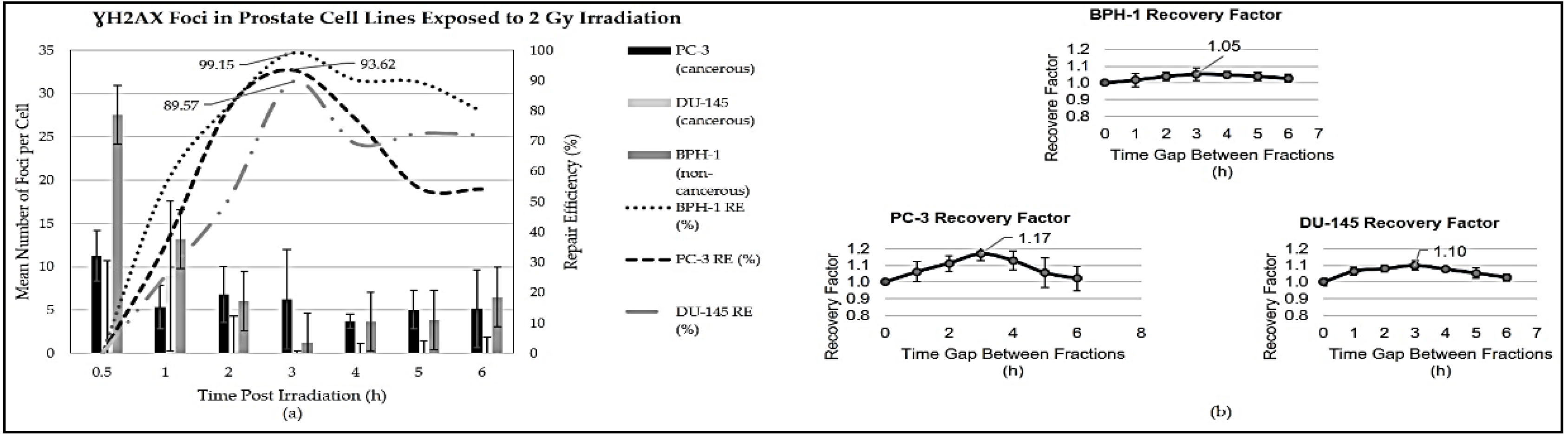 Preprints 137966 g001