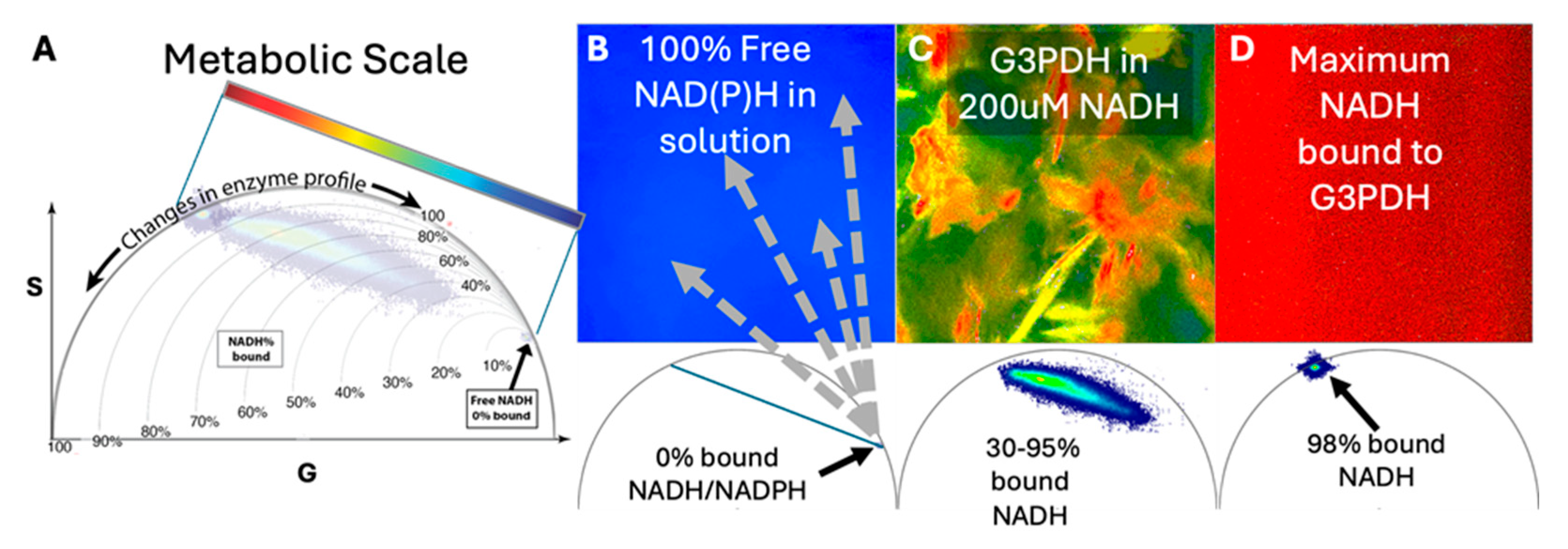 Preprints 181221 g001