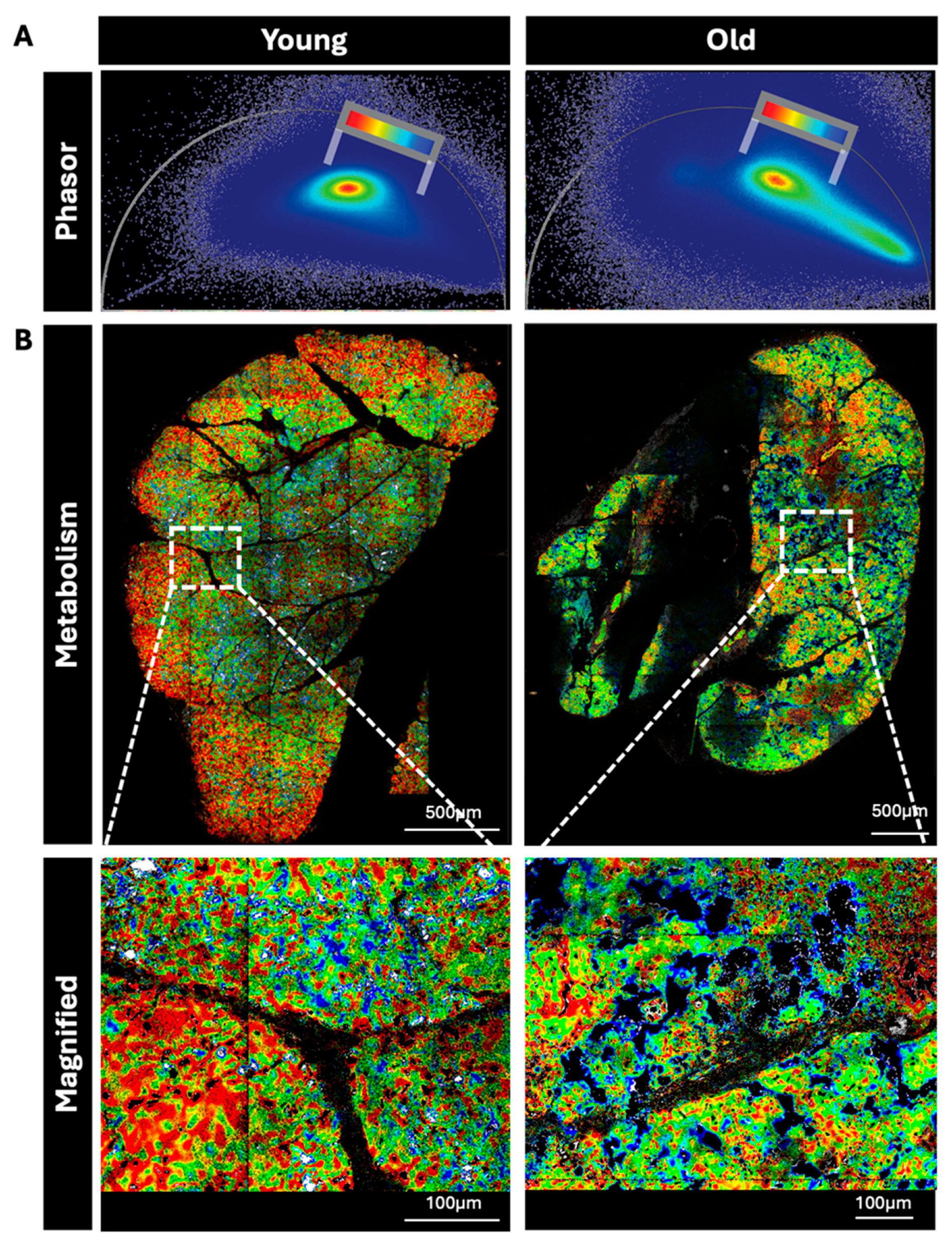 Preprints 181221 g002