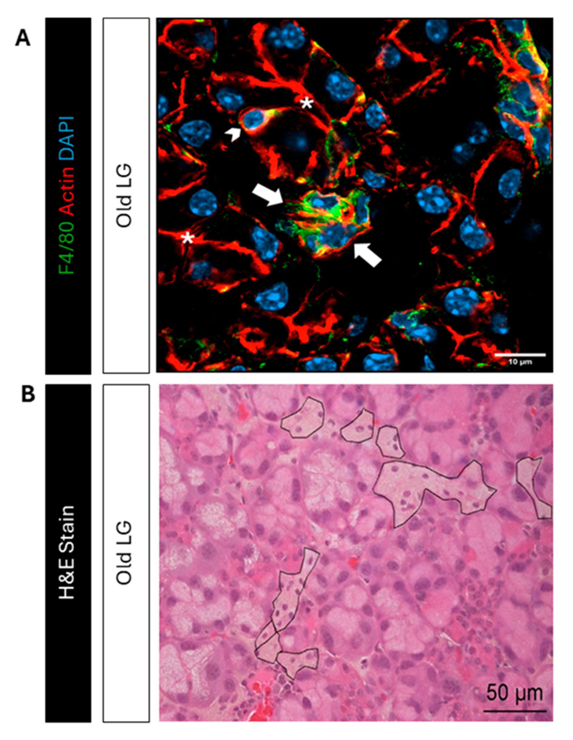 Preprints 181221 g003