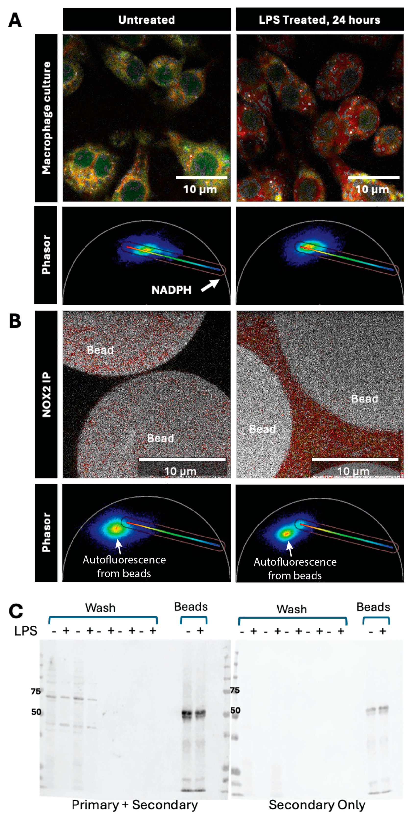 Preprints 181221 g004