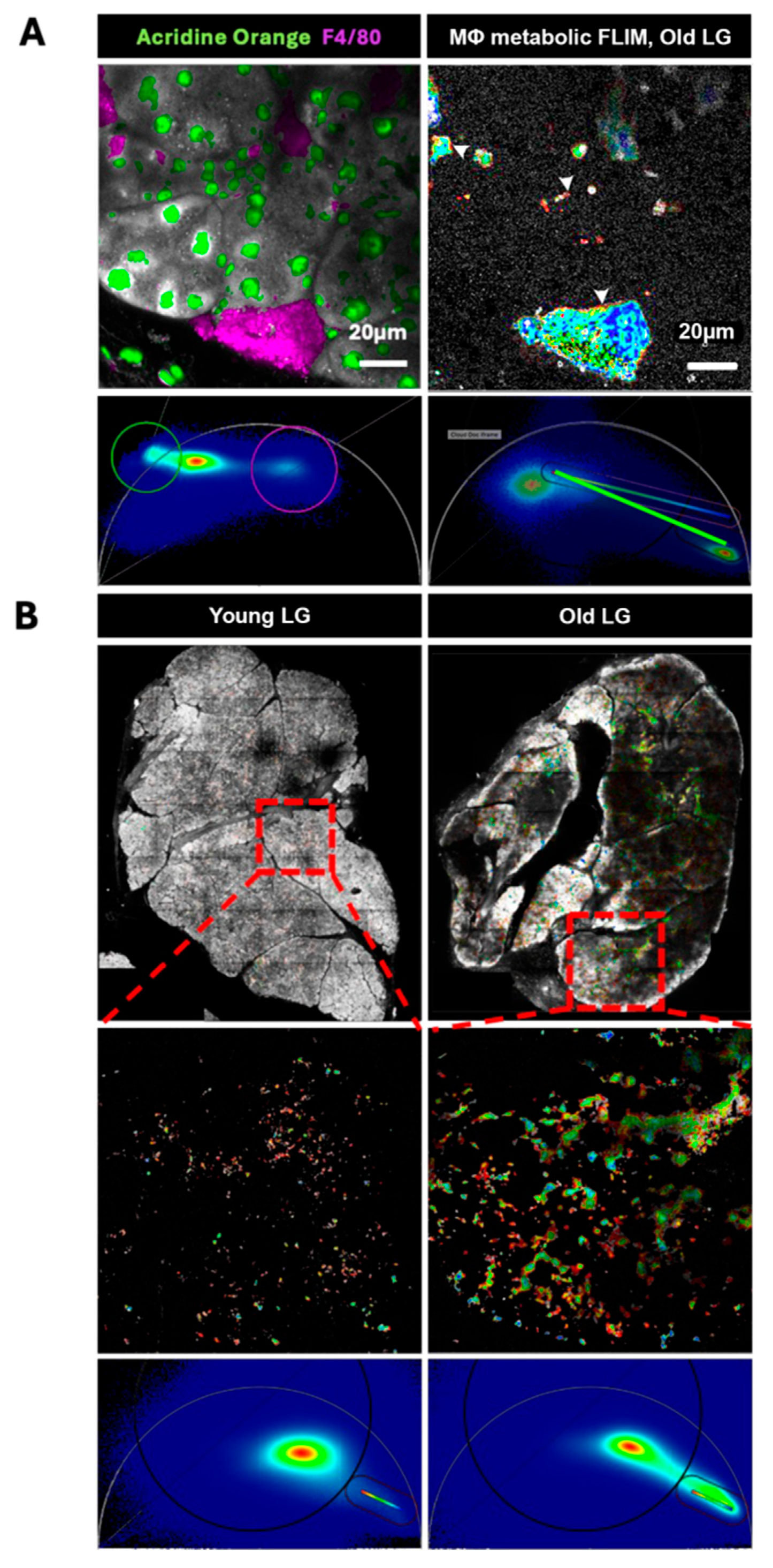 Preprints 181221 g005