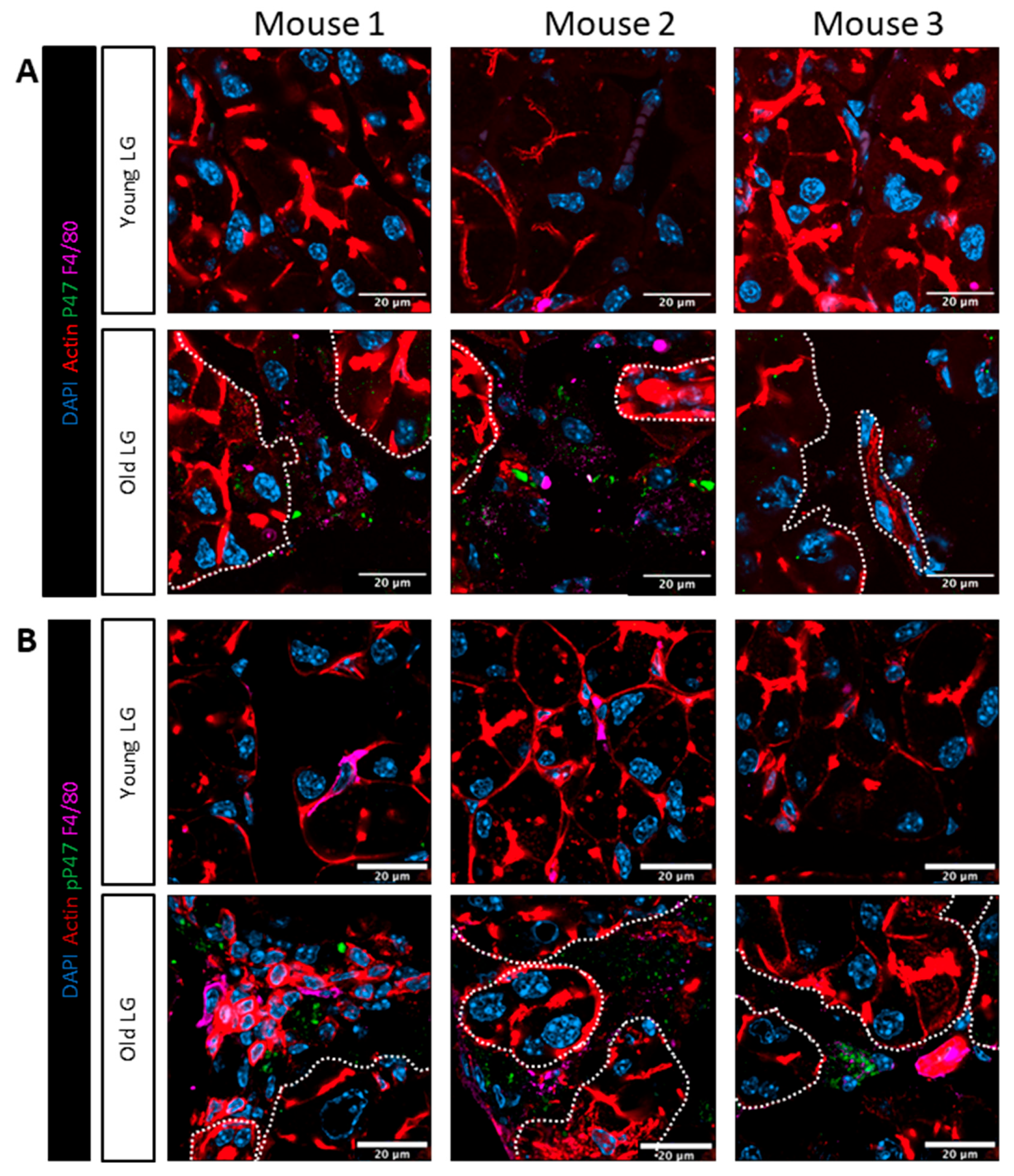 Preprints 181221 g007