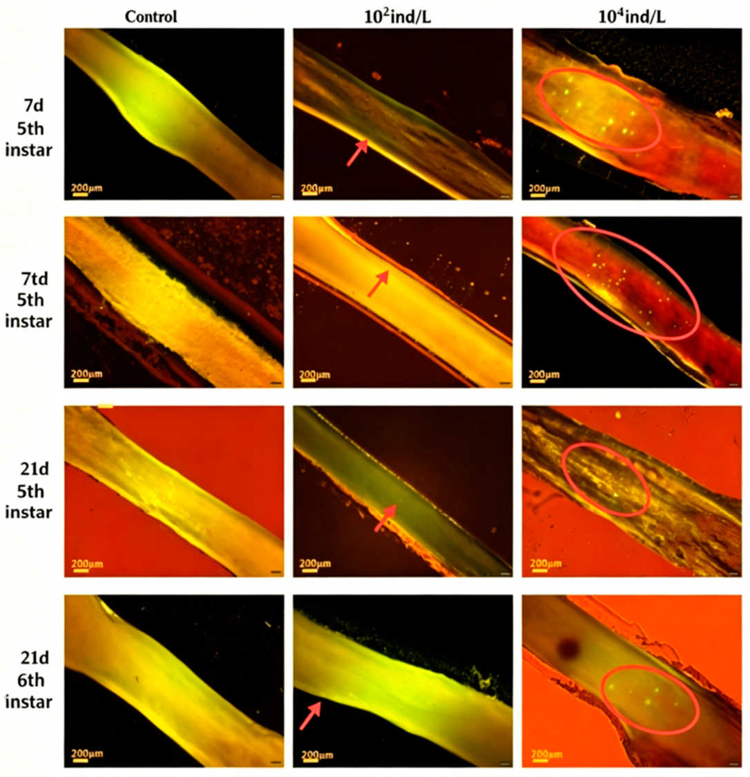 Preprints 221897 g002 Preprints 221897 g002