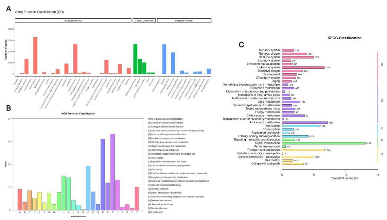 Preprints 221897 g005 Preprints 221897 g005