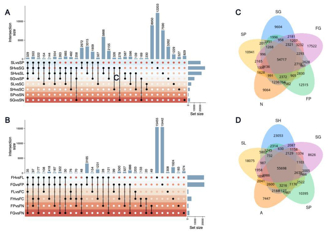 Preprints 221897 g006 Preprints 221897 g006