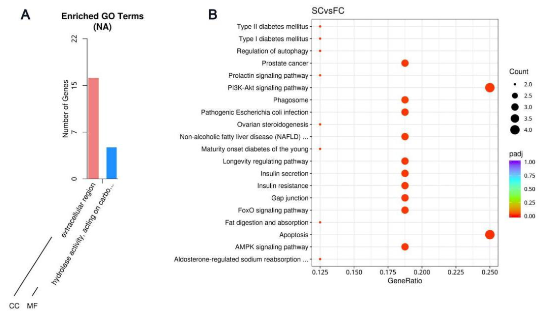 Preprints 221897 g007 Preprints 221897 g007