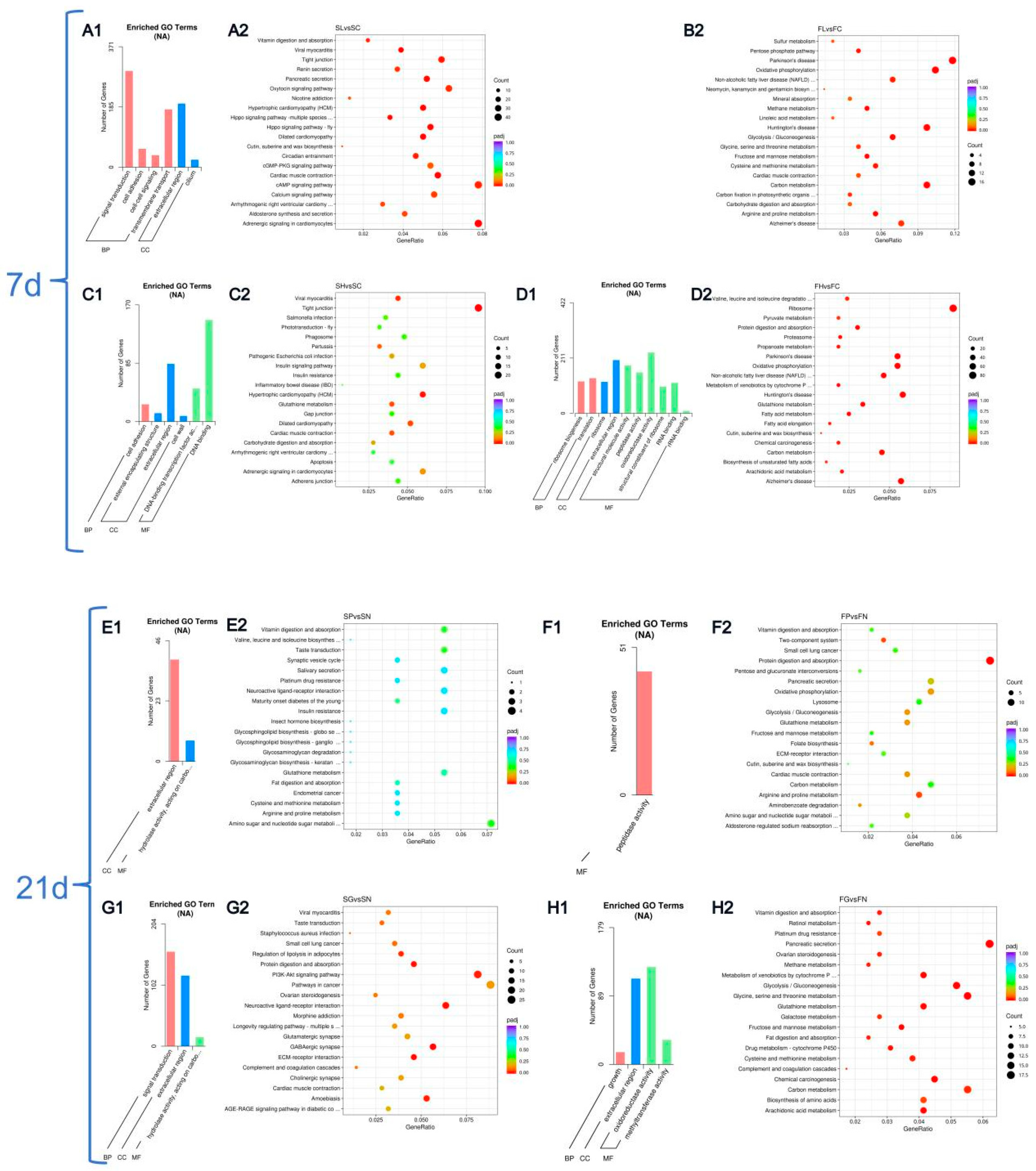 Preprints 221897 g008 Preprints 221897 g008