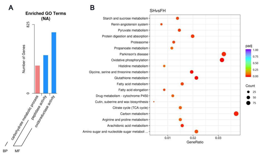 Preprints 221897 g009a Preprints 221897 g009a